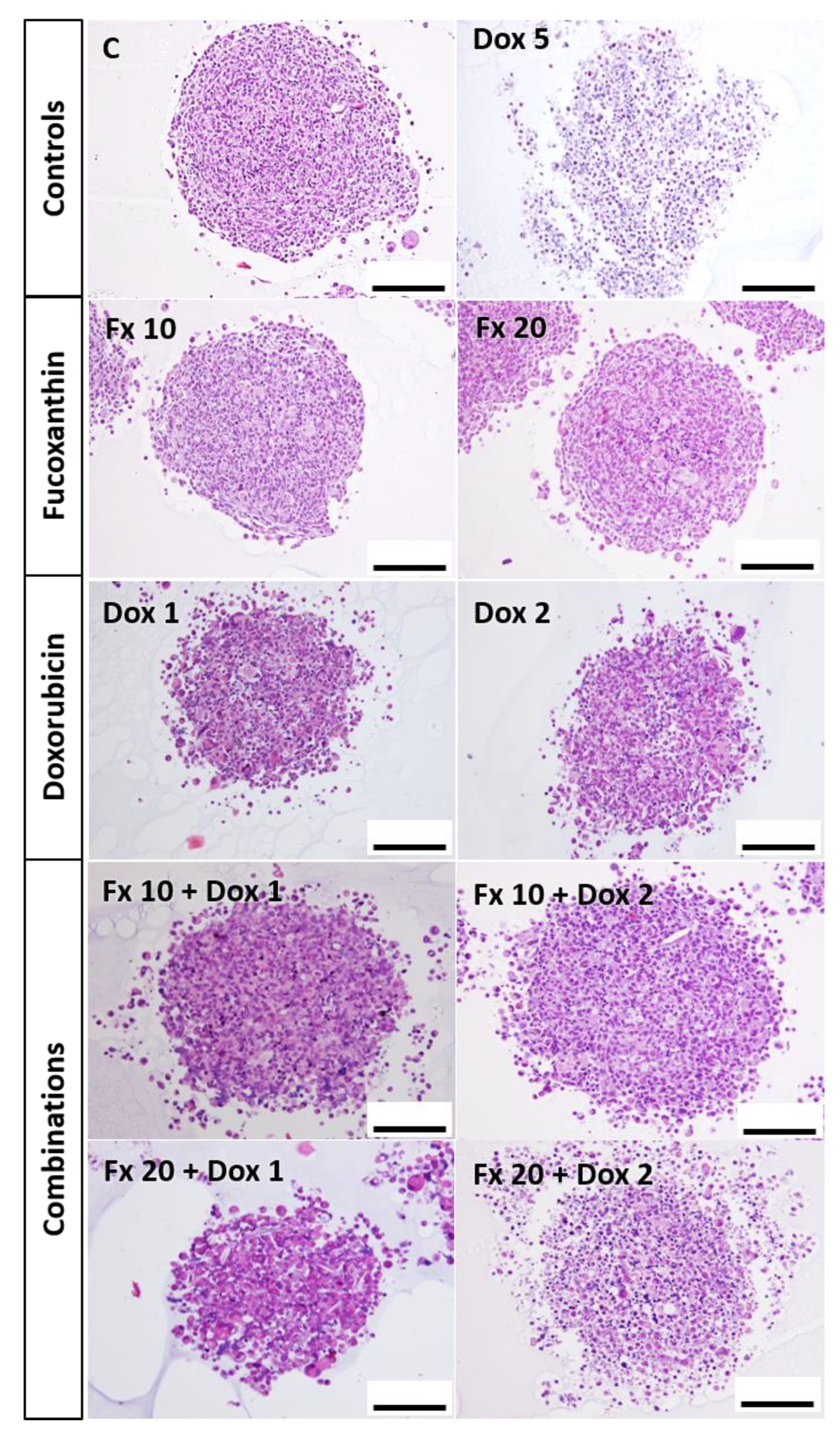Molecules 26 04288 g006
