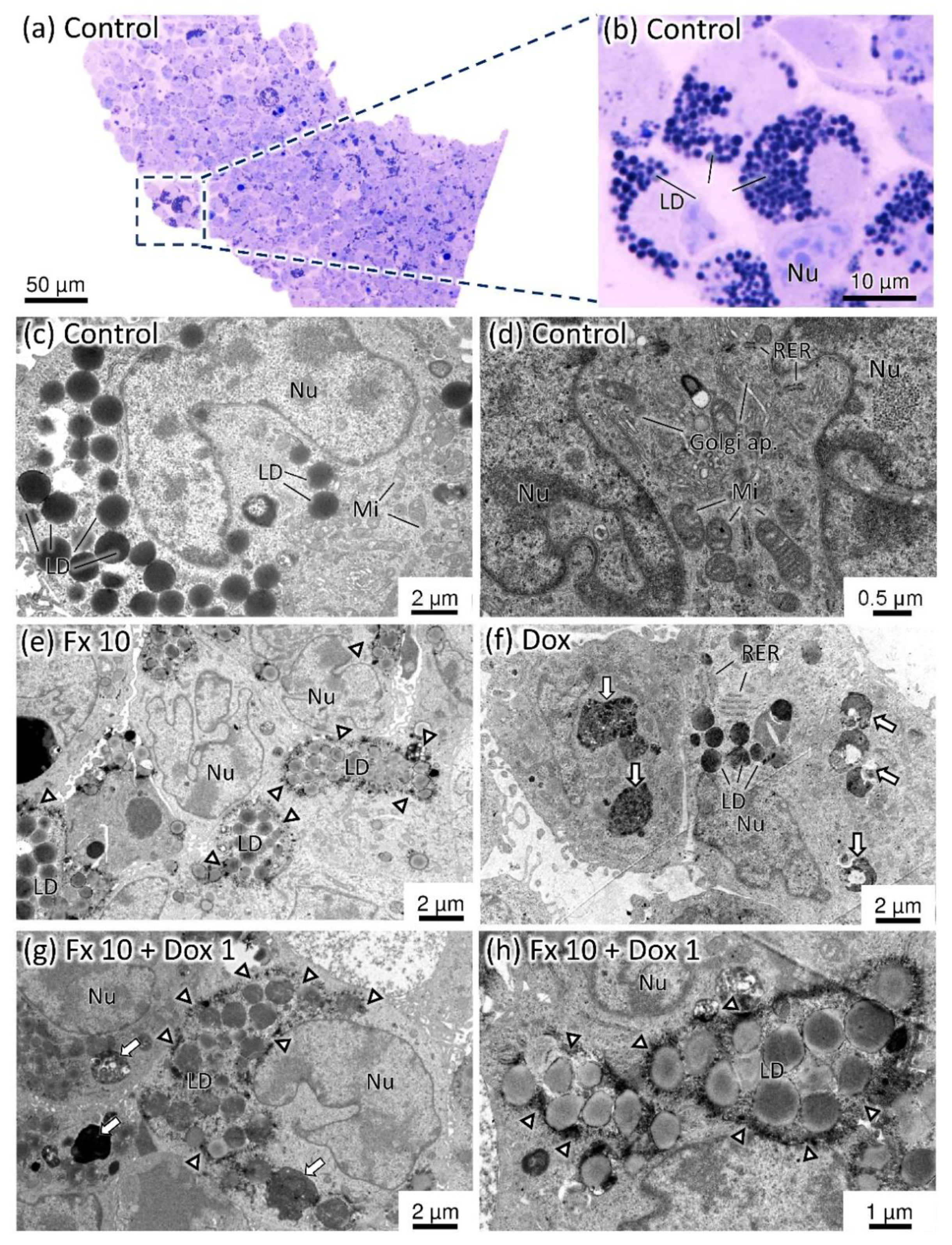 Molecules 26 04288 g009