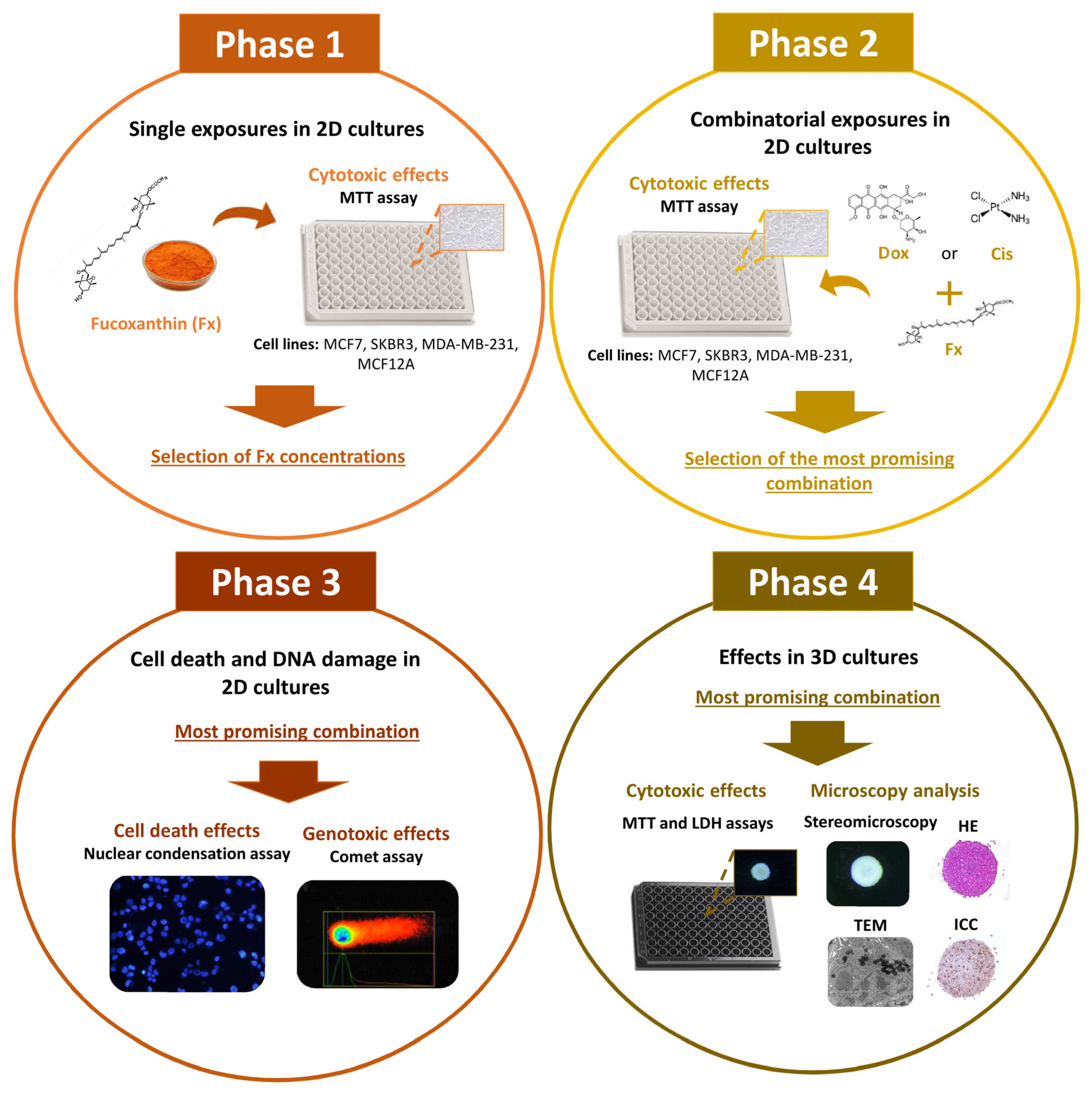 Molecules 26 04288 g010