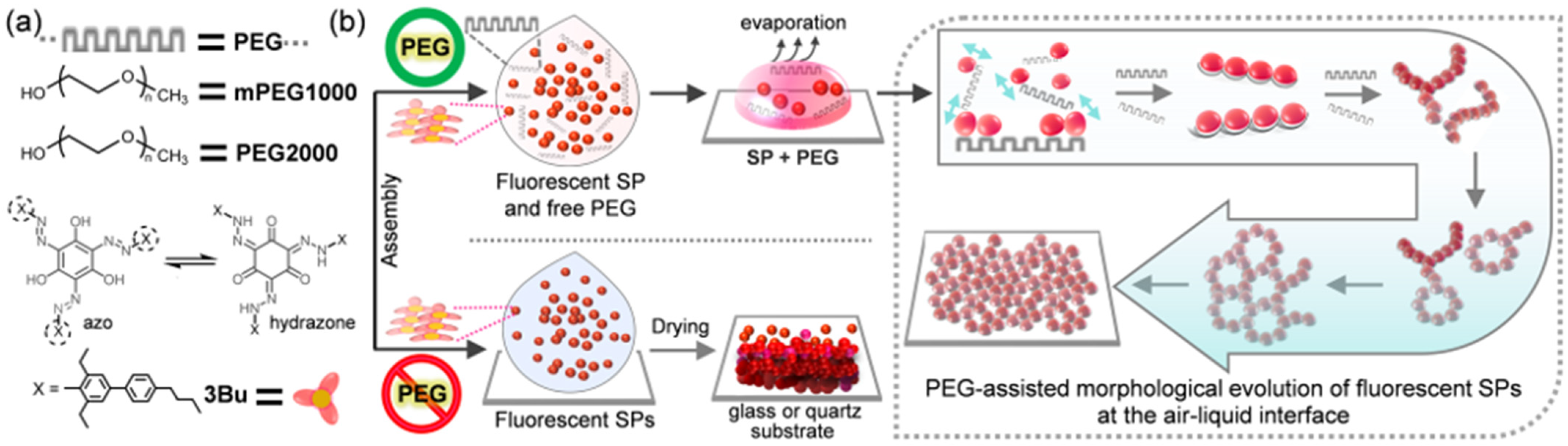 Molecules 26 04294 g001