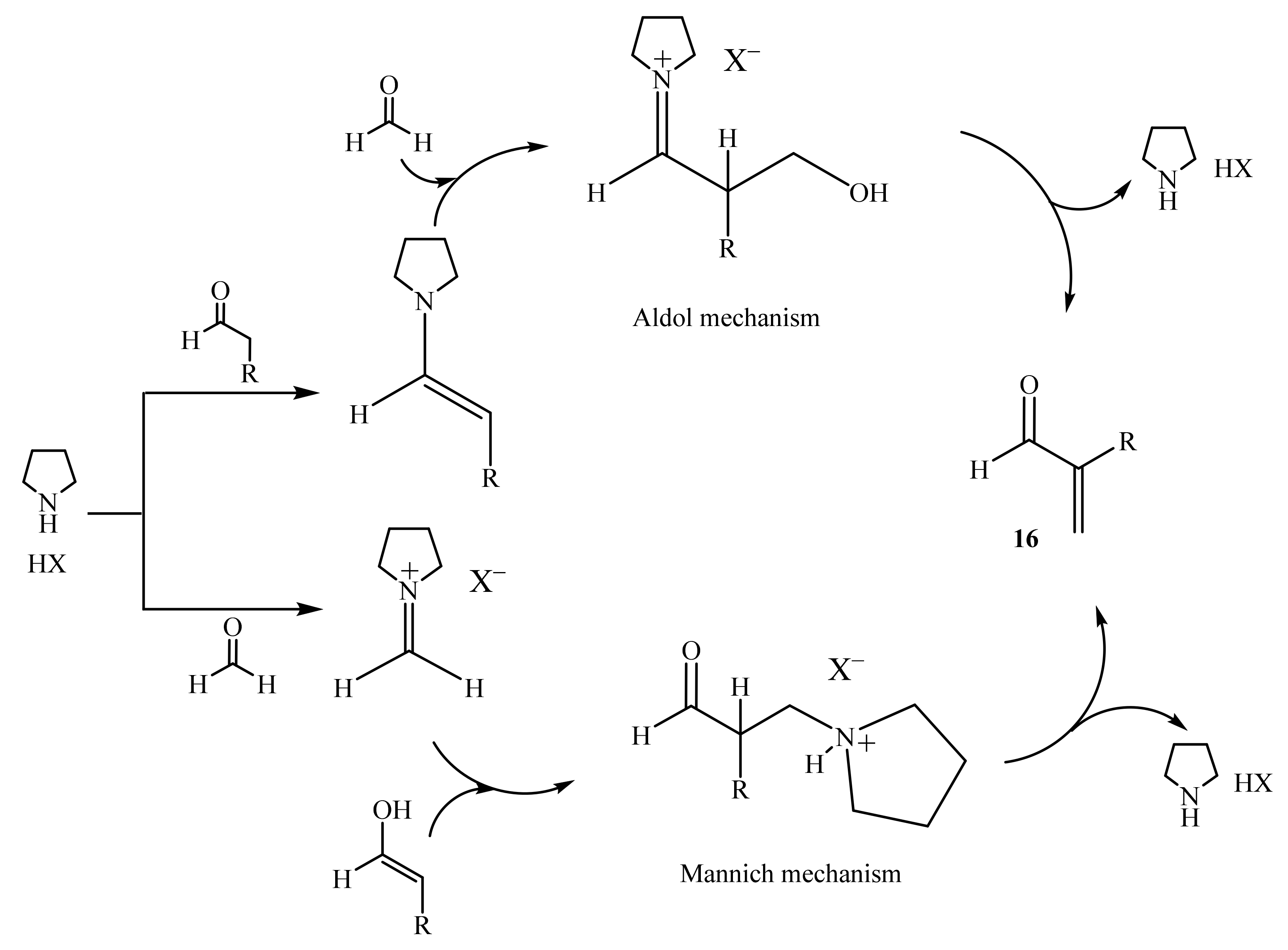 Molecules 26 04297 sch005
