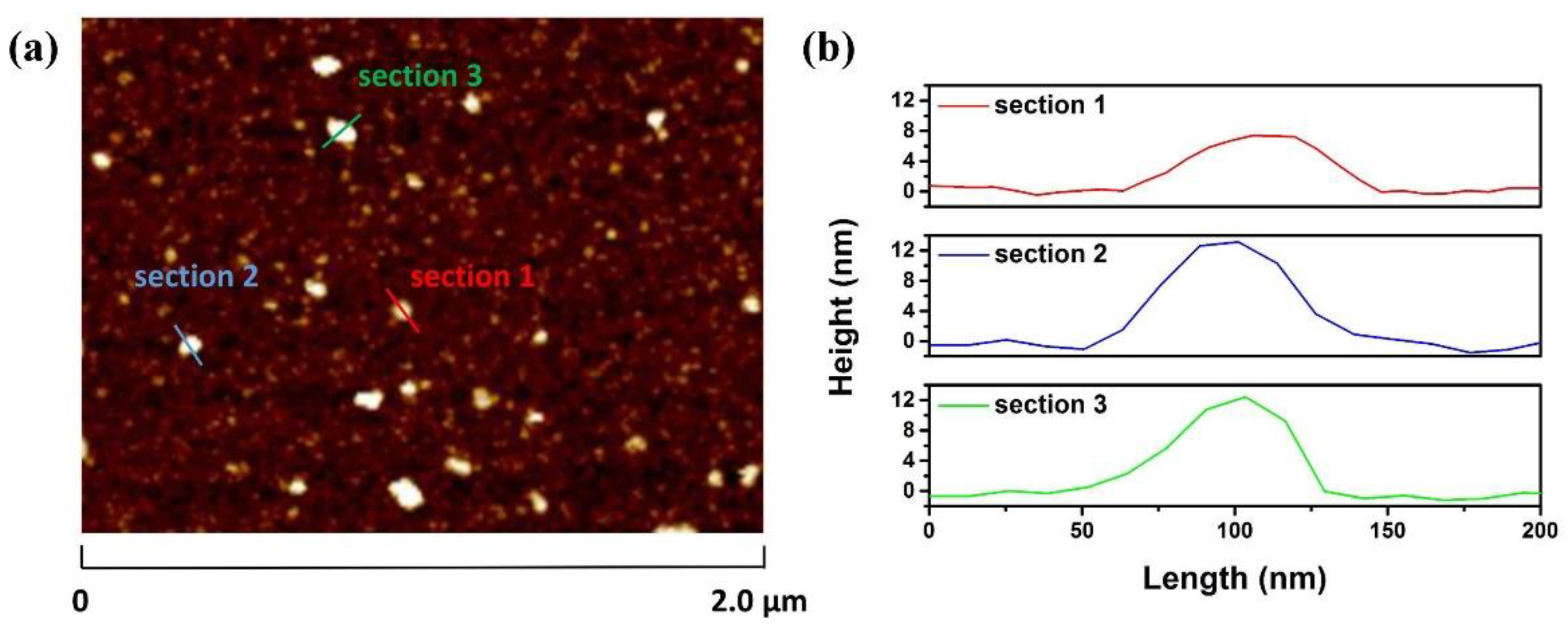 Molecules 26 04303 g003 Molecules 26 04303 g003