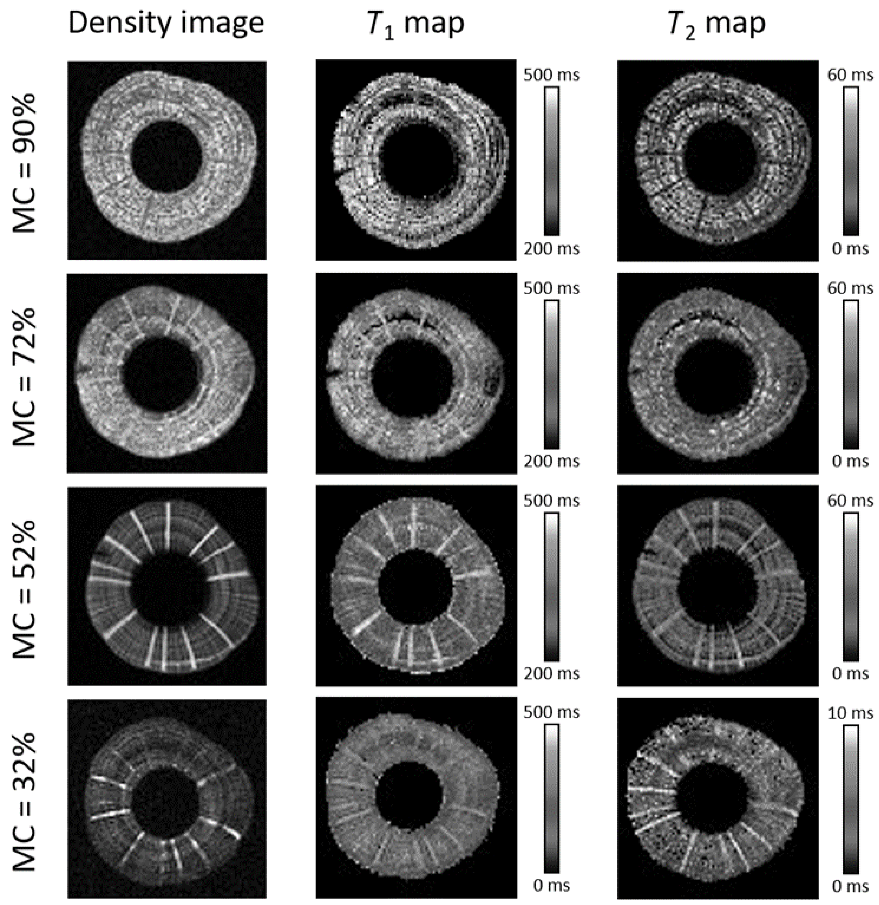 Molecules 26 04305 g003