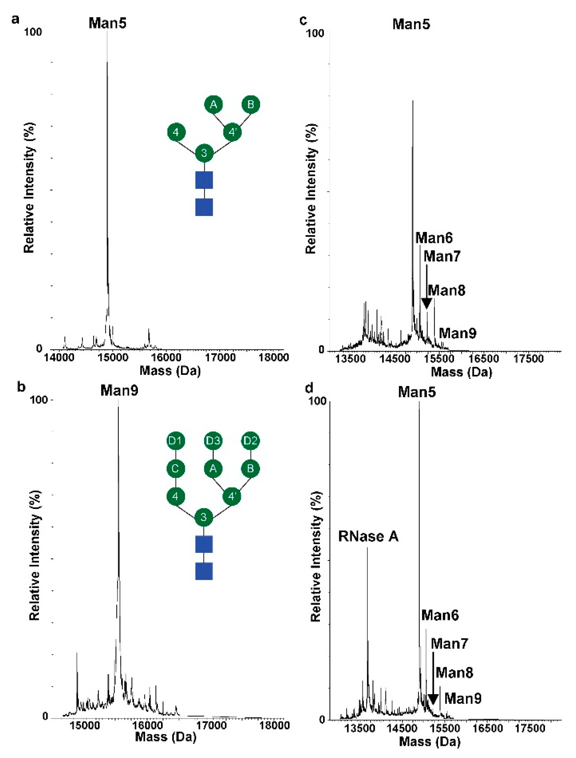 Molecules 26 04308 g003