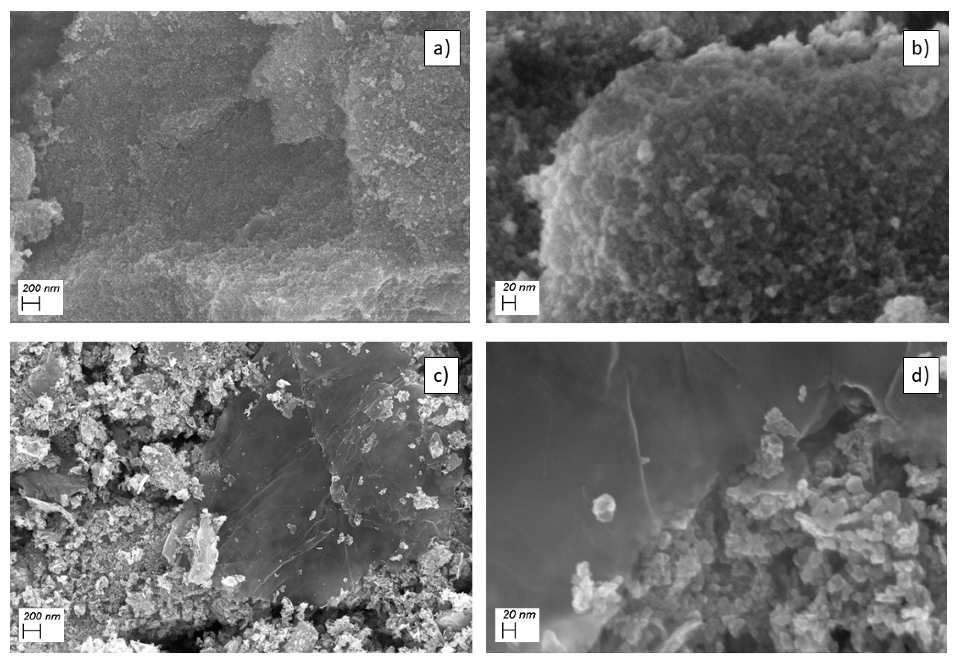 Molecules 26 04316 g002