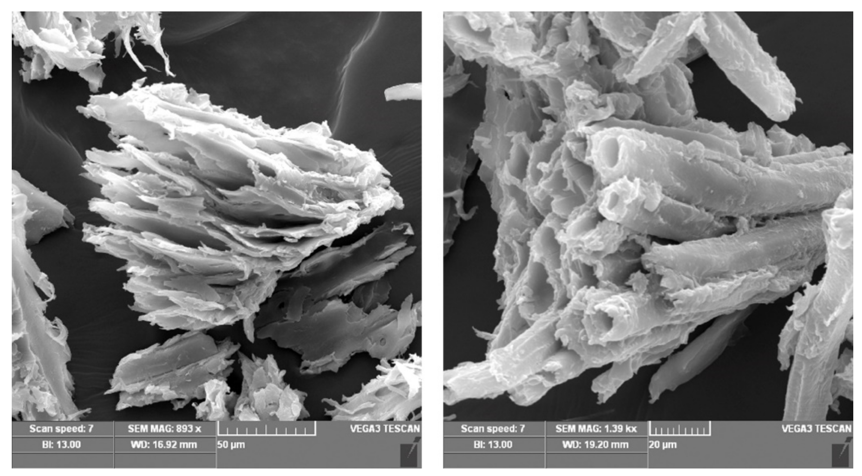 Molecules 26 04318 g003