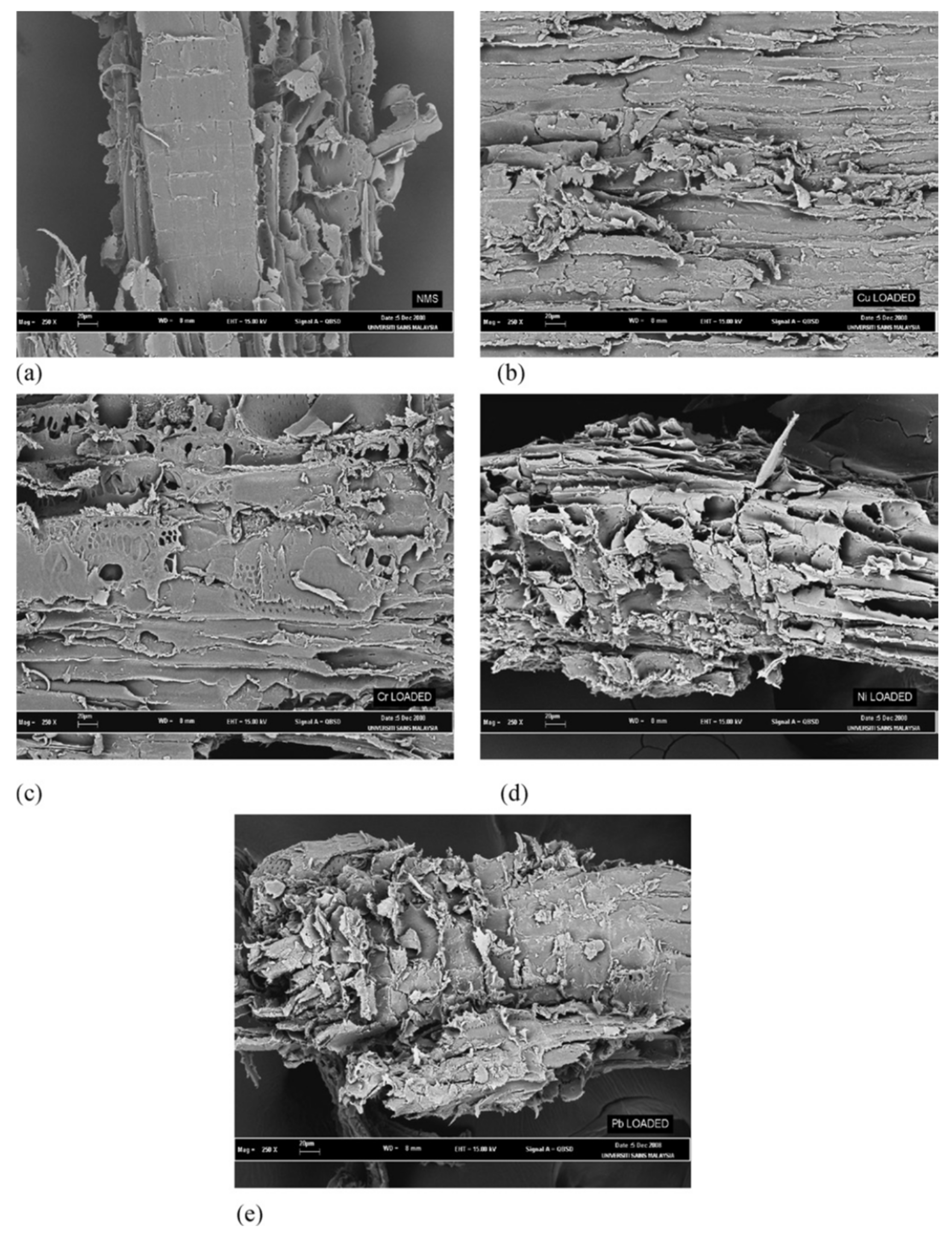 Molecules 26 04318 g004