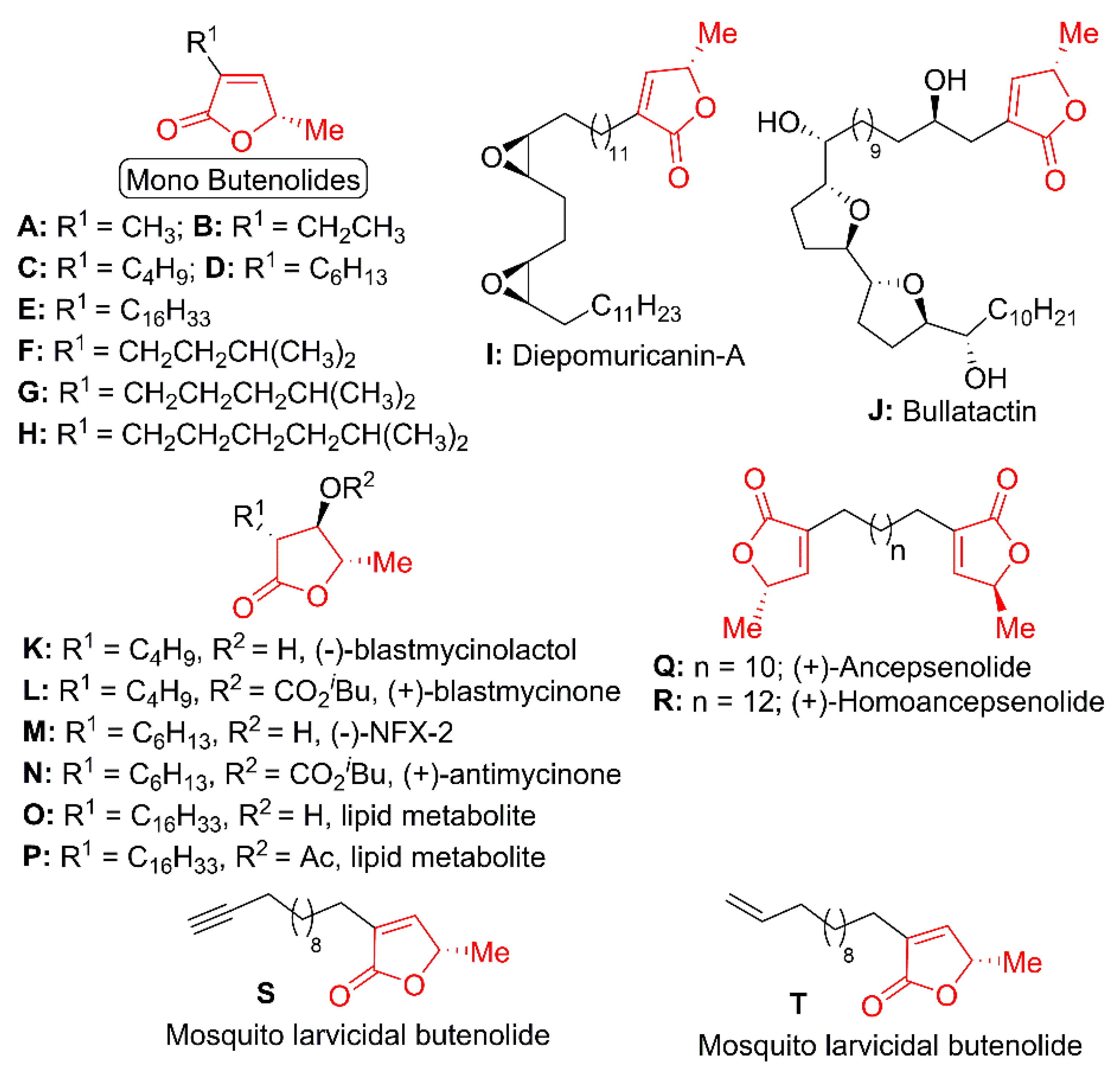 Molecules 26 04320 g001