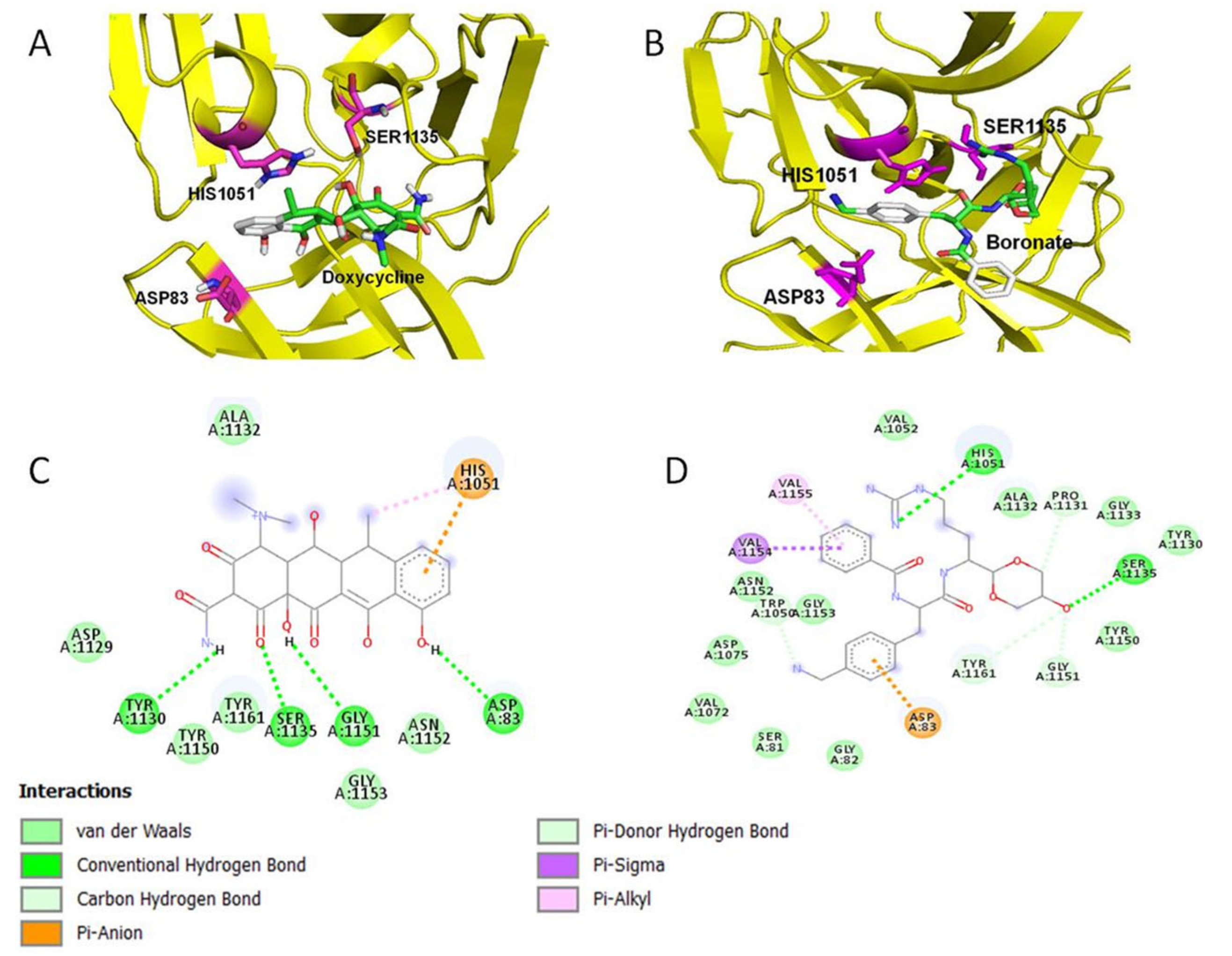 Molecules 26 04321 g001
