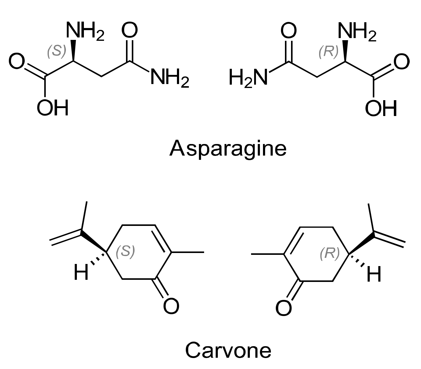 Molecules 26 04322 g001 Molecules 26 04322 g001
