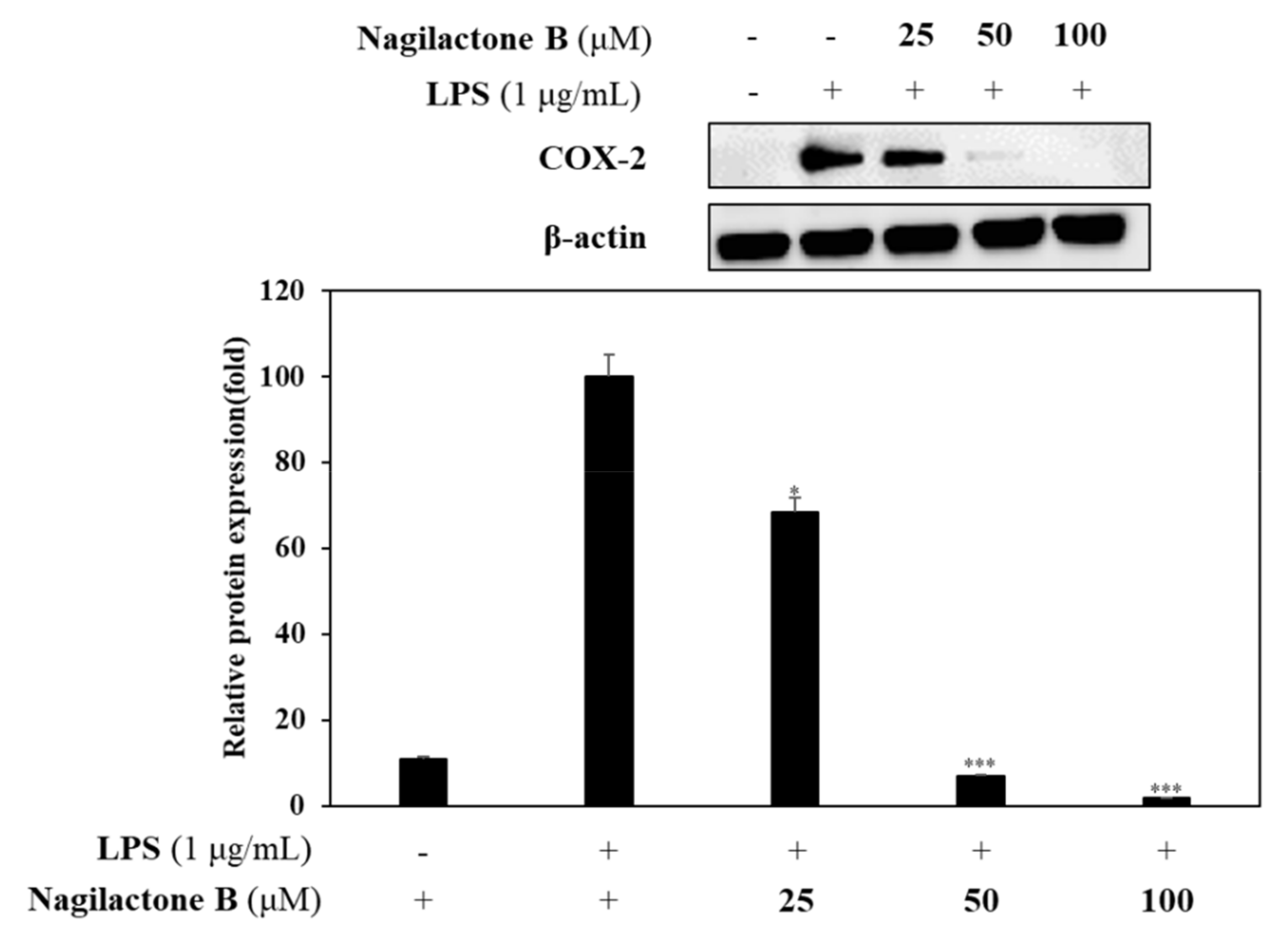 Molecules 26 04326 g005b Molecules 26 04326 g005b
