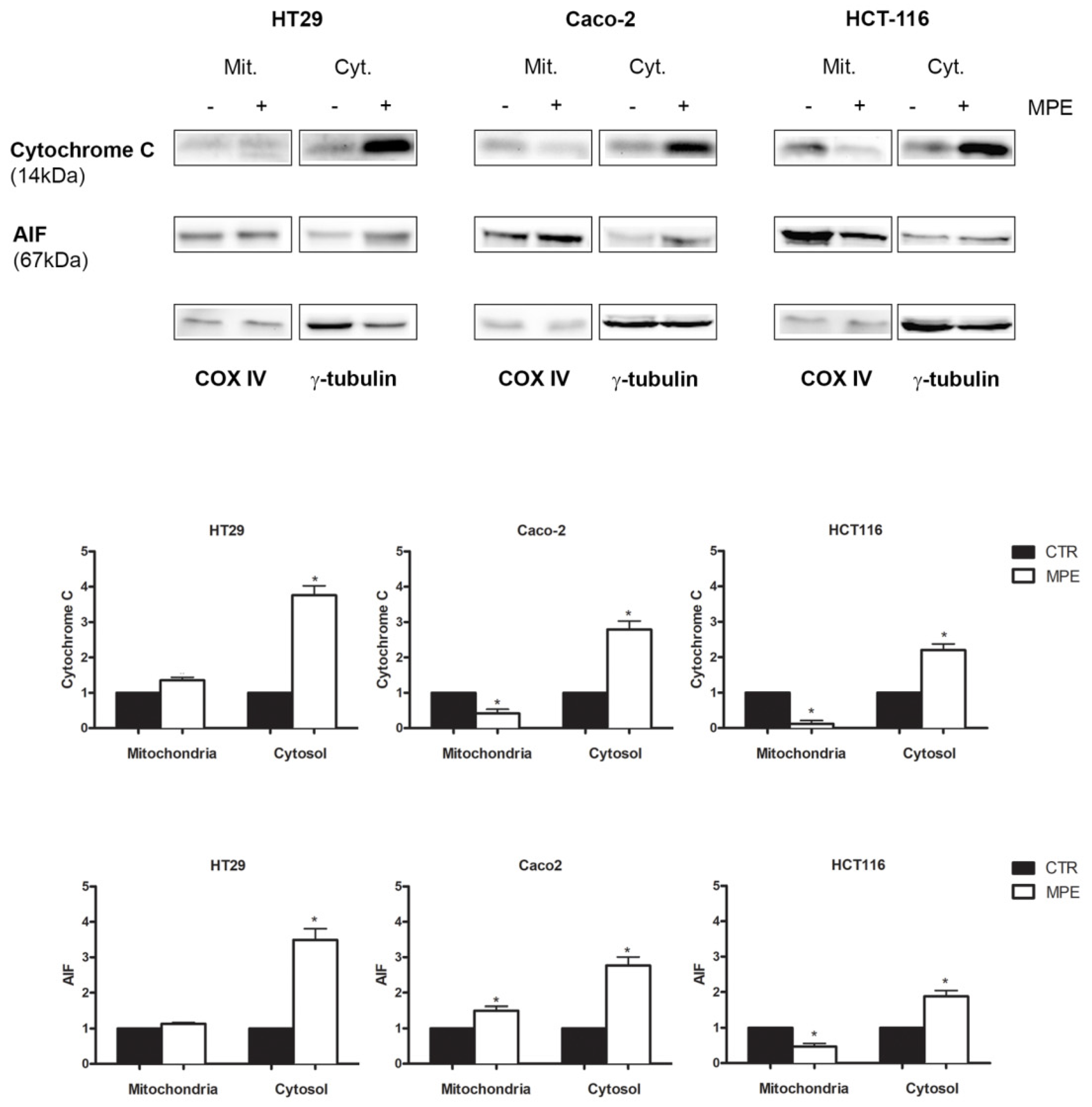 Molecules 26 04328 g005