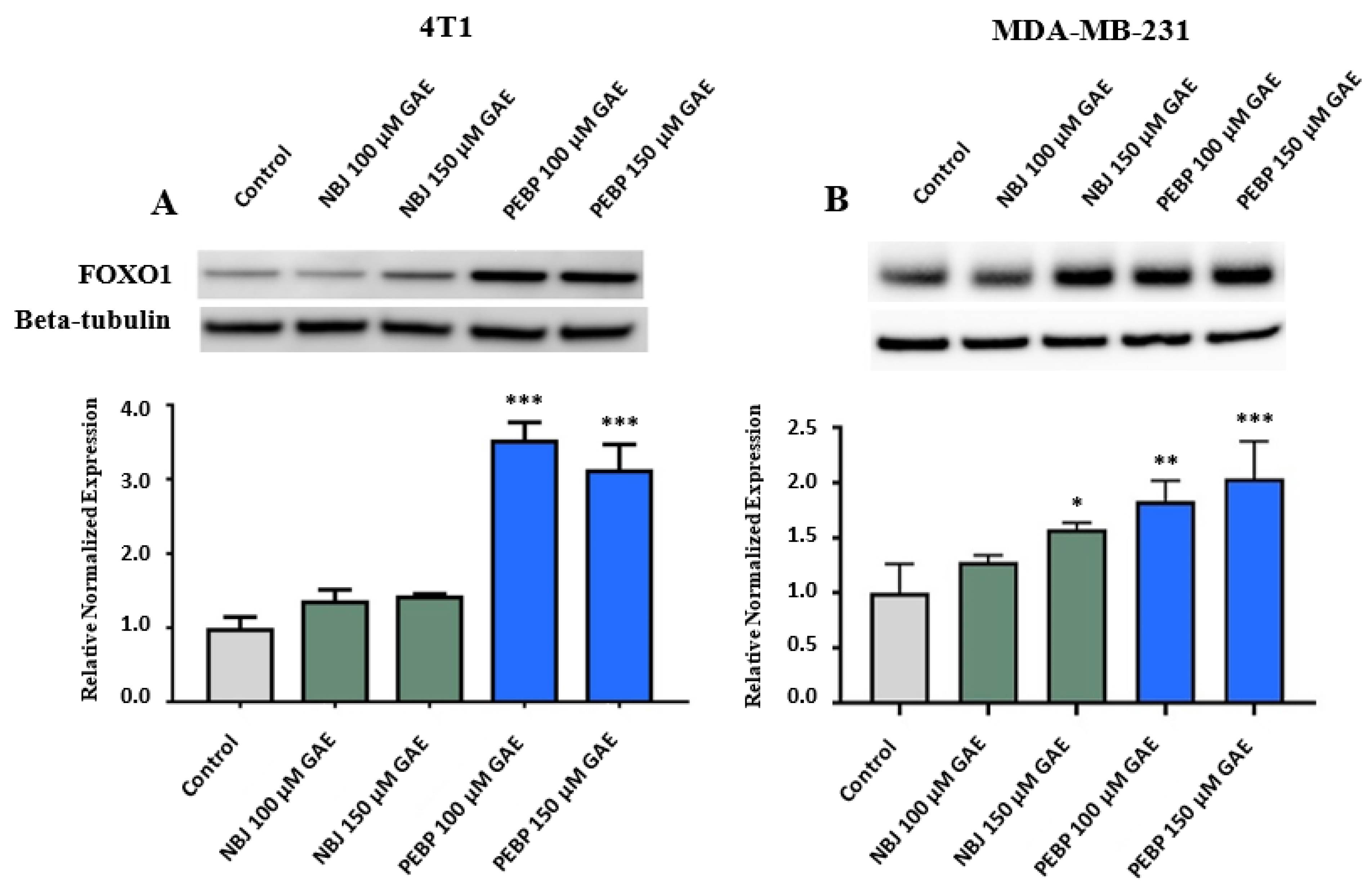 Molecules 26 04330 g003