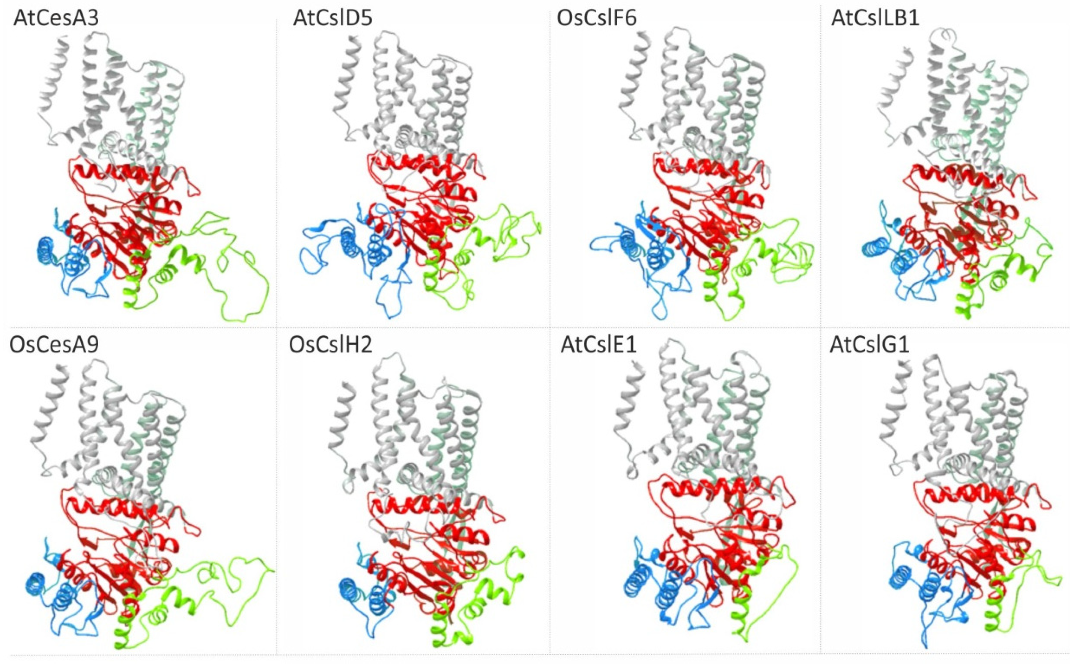 Molecules 26 04335 g003 Molecules 26 04335 g003