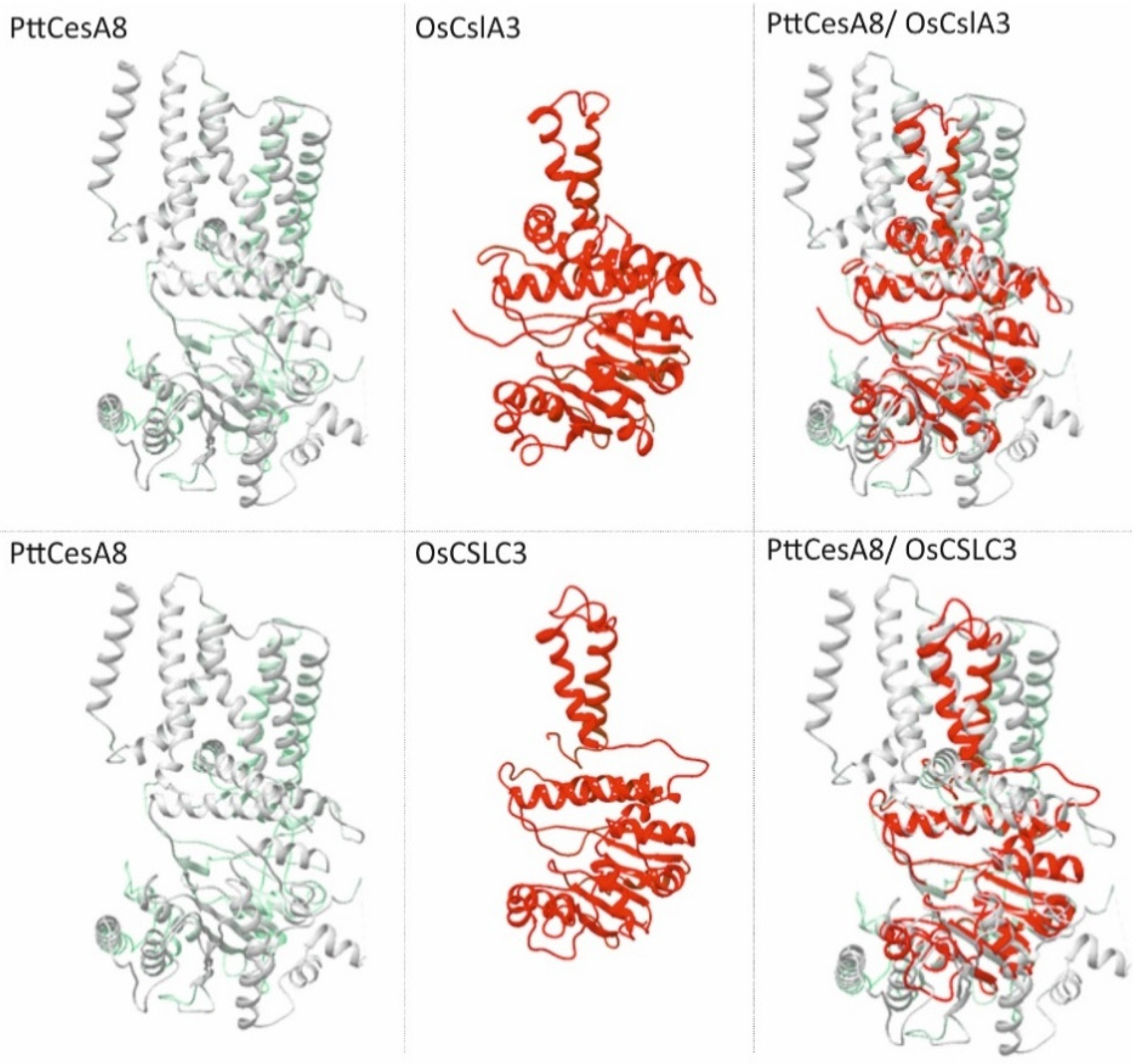 Molecules 26 04335 g004 Molecules 26 04335 g004