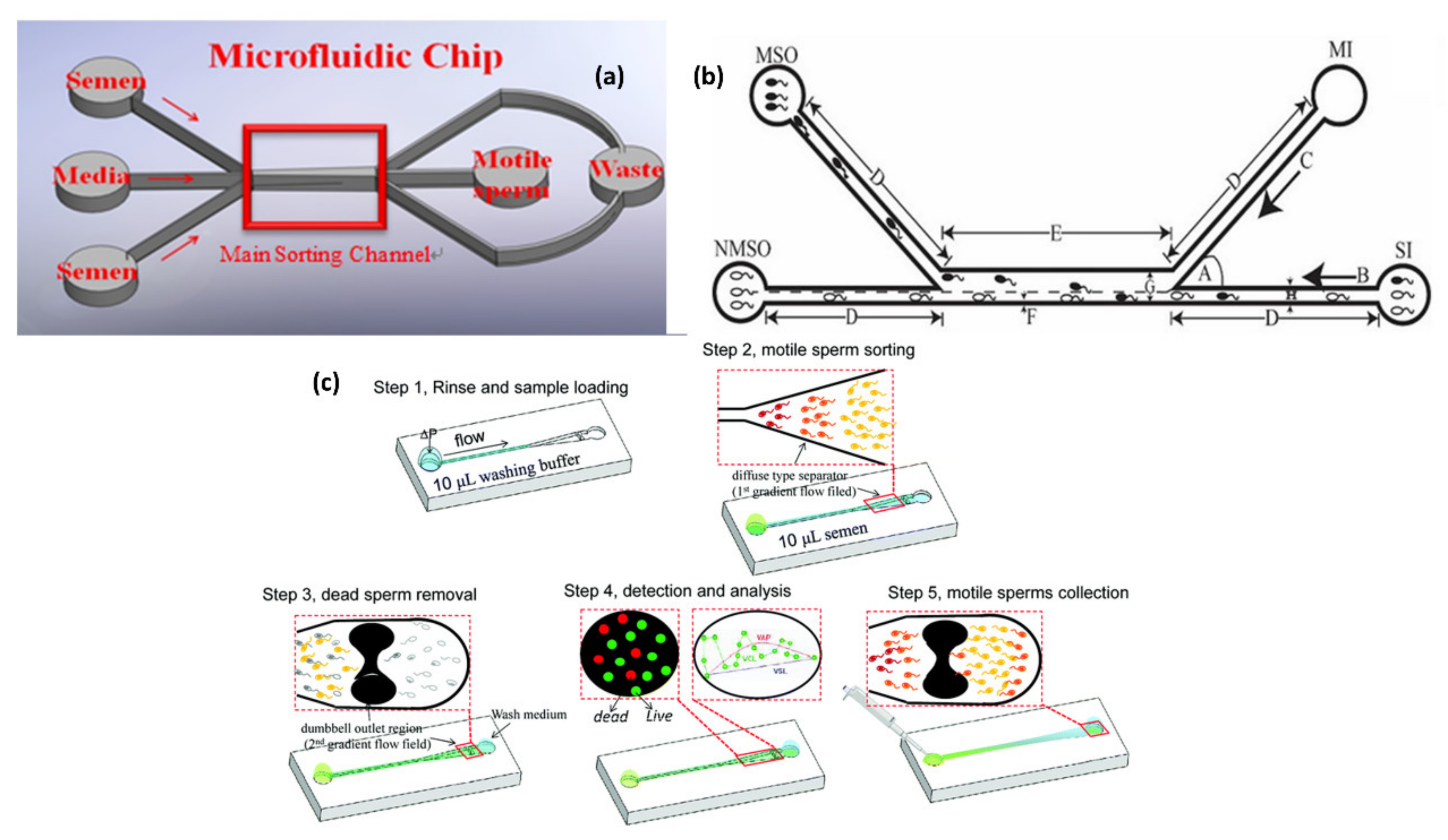 Molecules 26 04354 g002