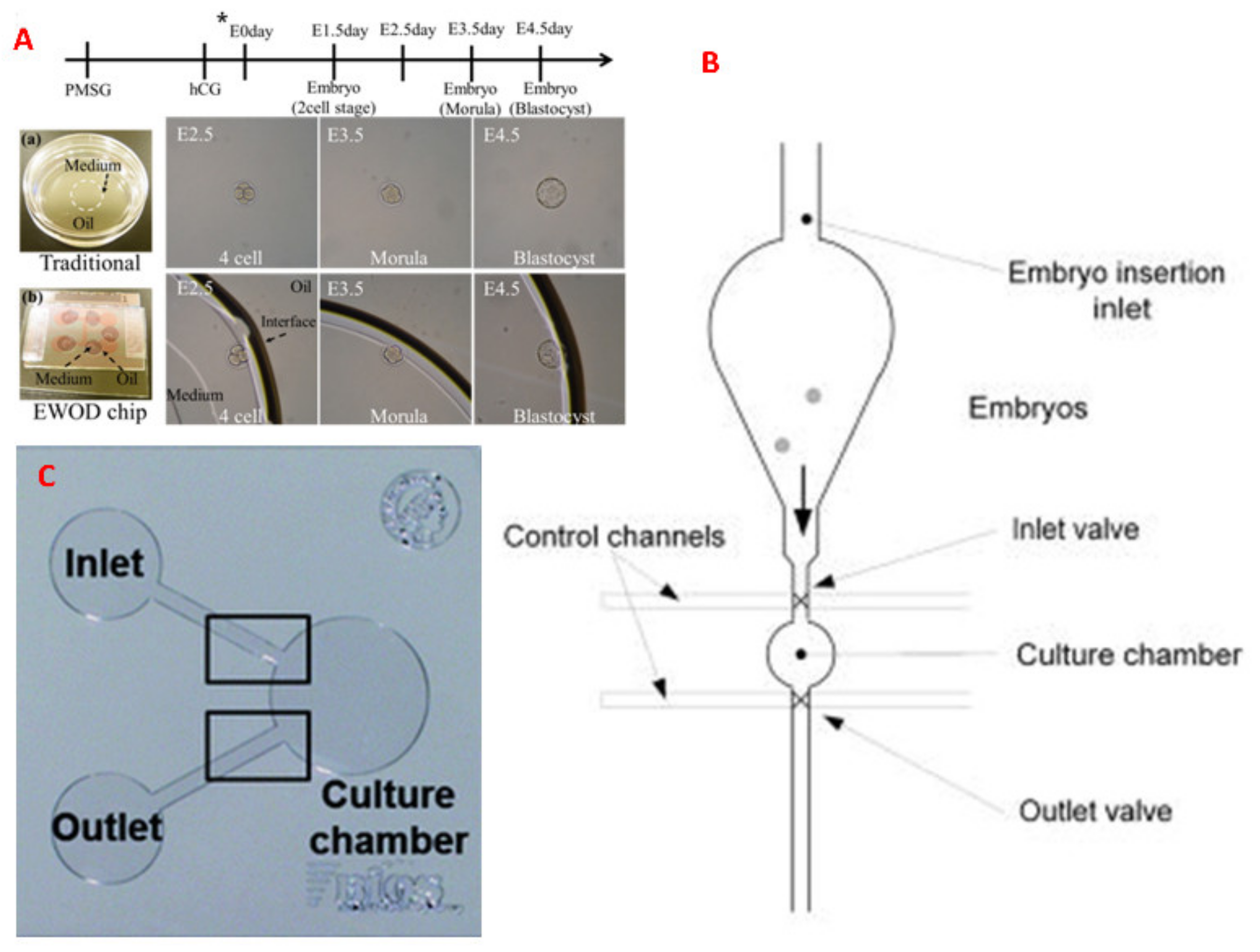 Molecules 26 04354 g004