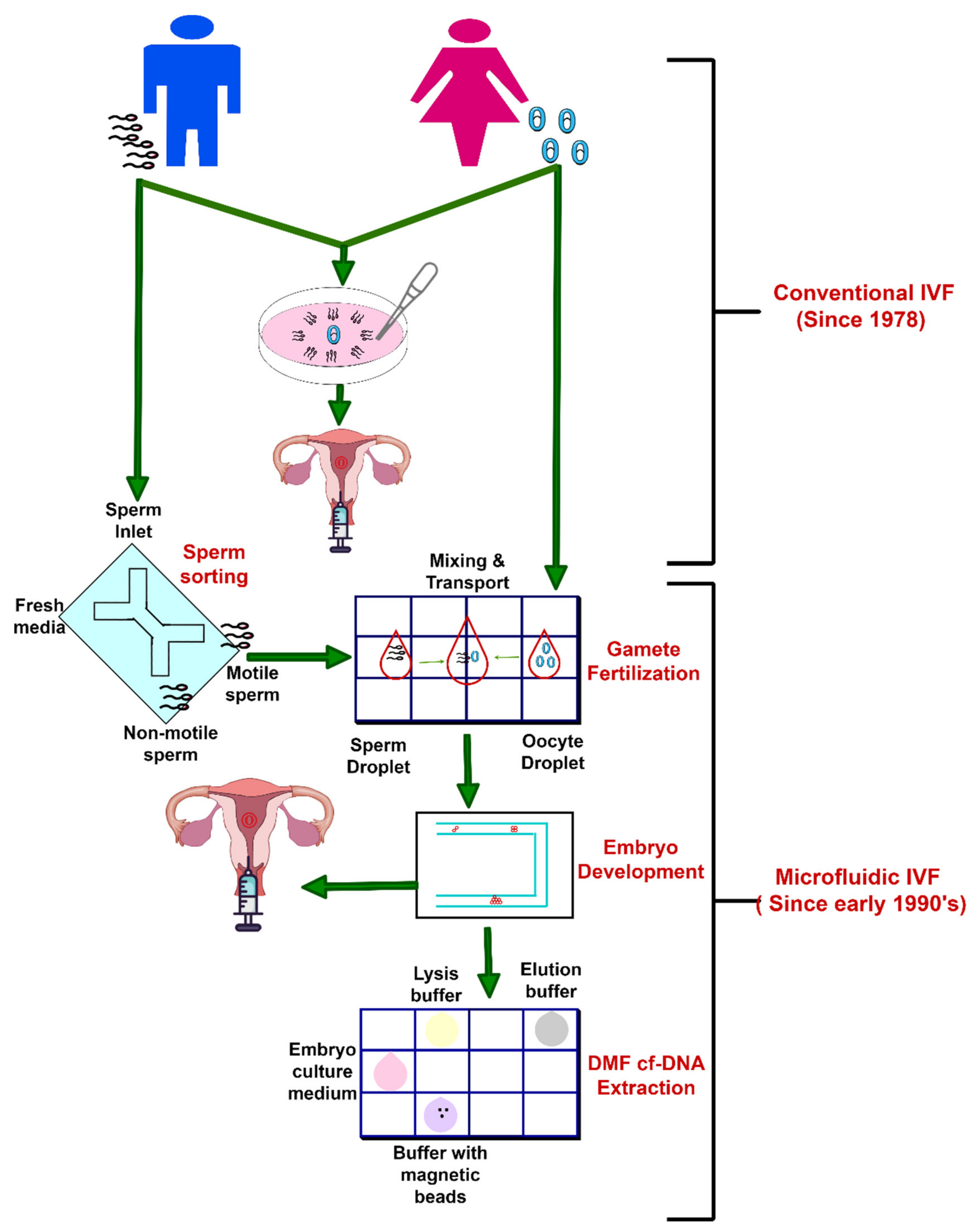 Molecules 26 04354 g006