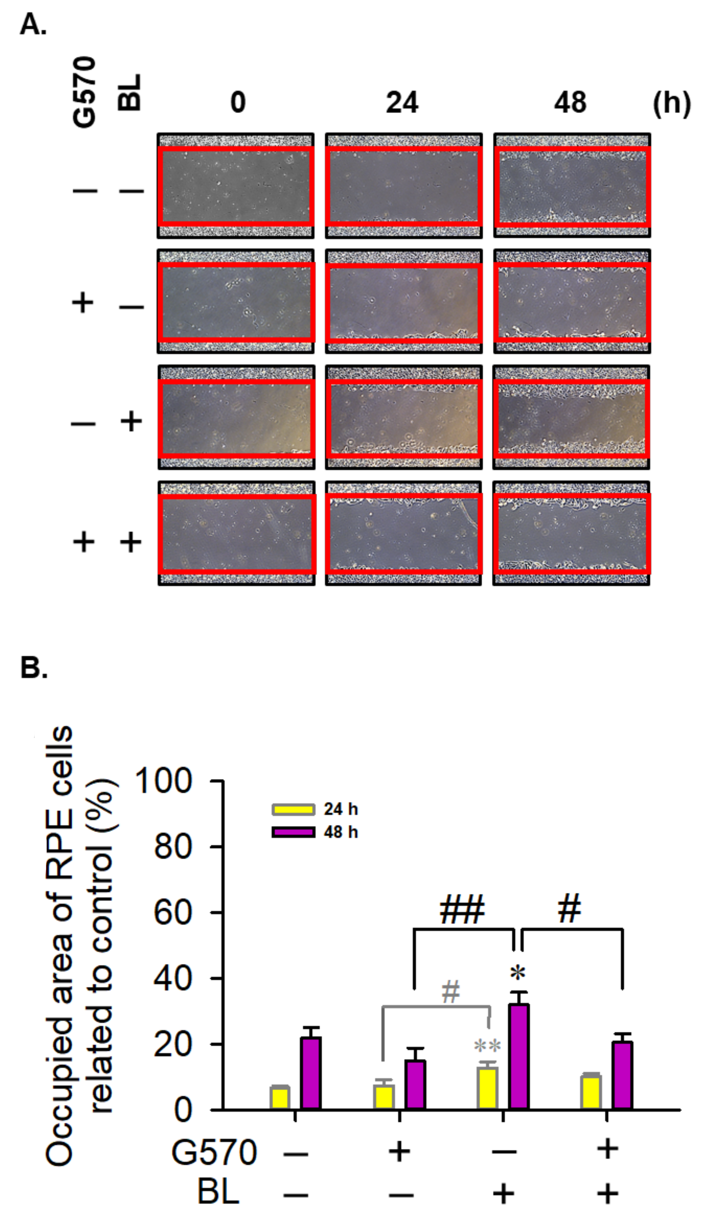Molecules 26 04359 g003