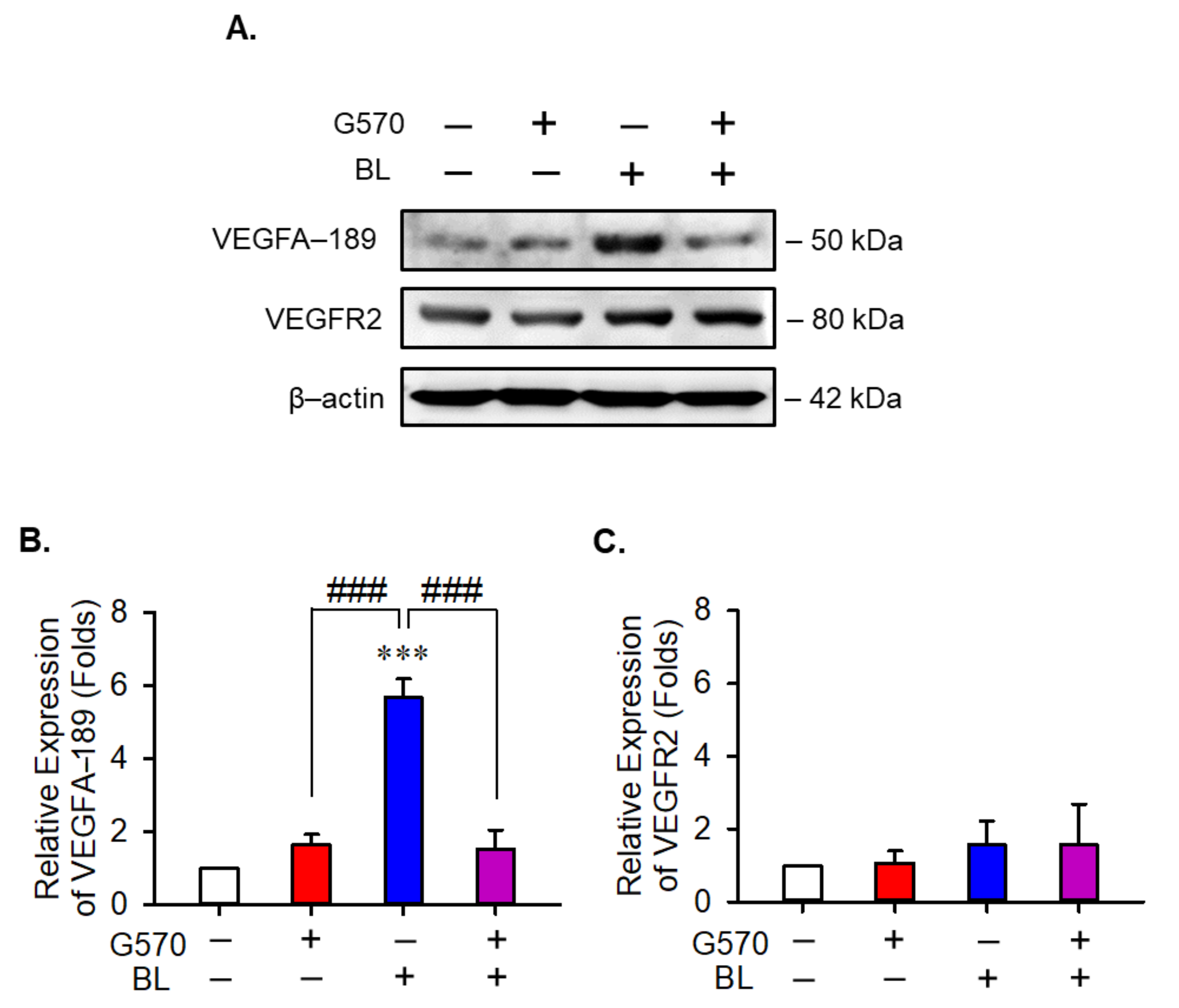 Molecules 26 04359 g004