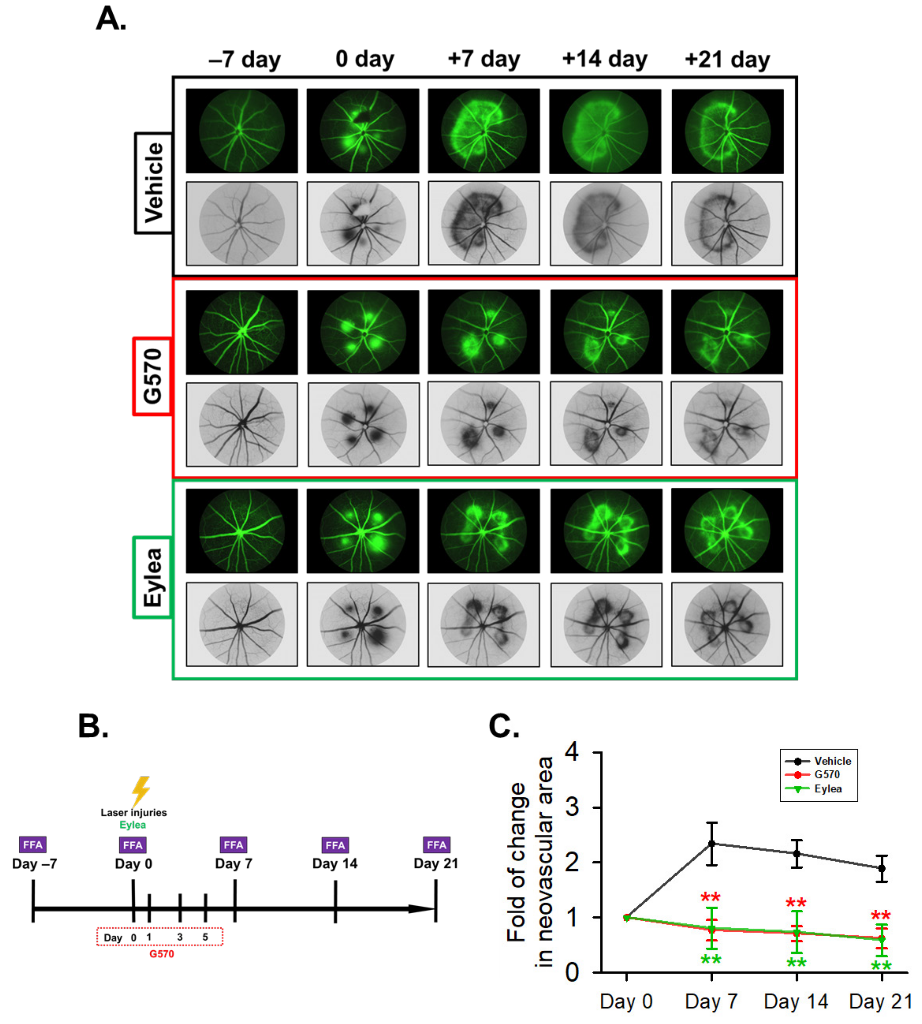 Molecules 26 04359 g006