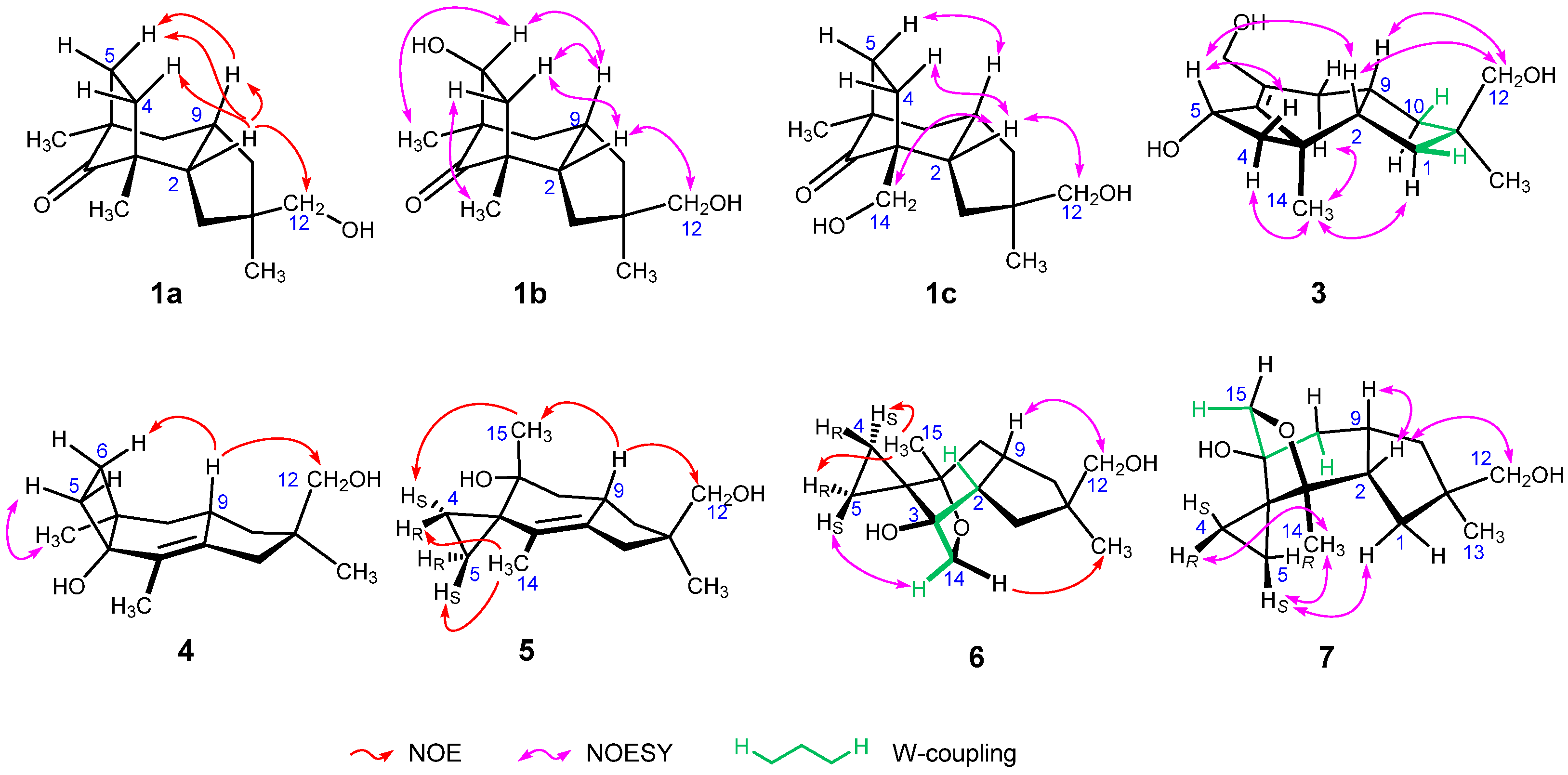 Molecules 26 04364 g002 Molecules 26 04364 g002