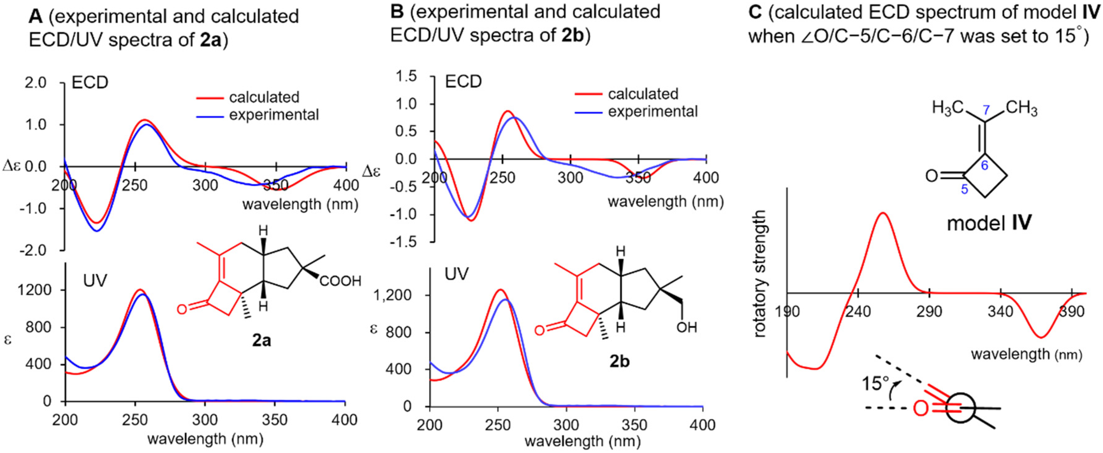 Molecules 26 04364 g004 Molecules 26 04364 g004