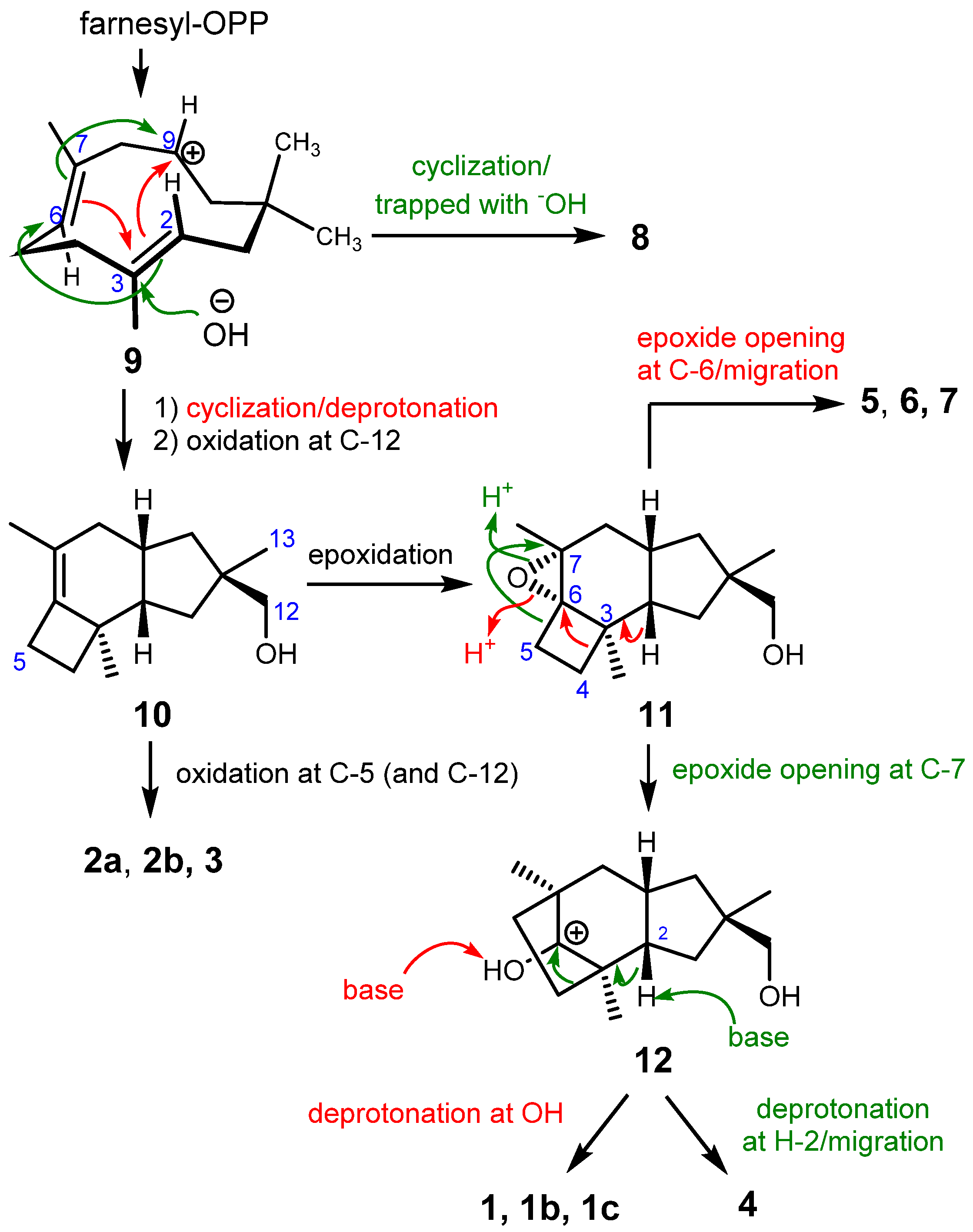 Molecules 26 04364 sch001 Molecules 26 04364 sch001
