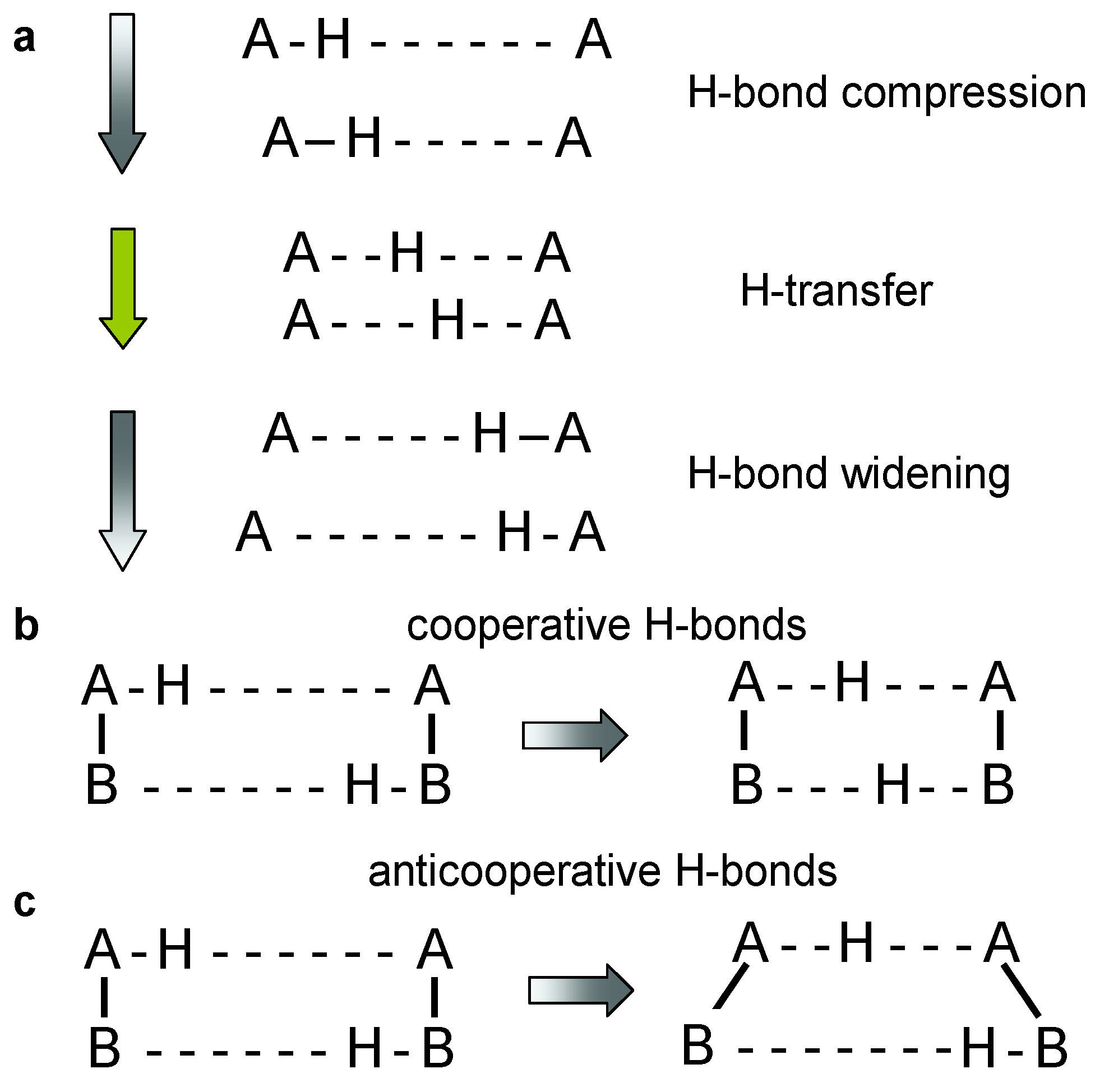 Molecules 26 04373 g001 Molecules 26 04373 g001