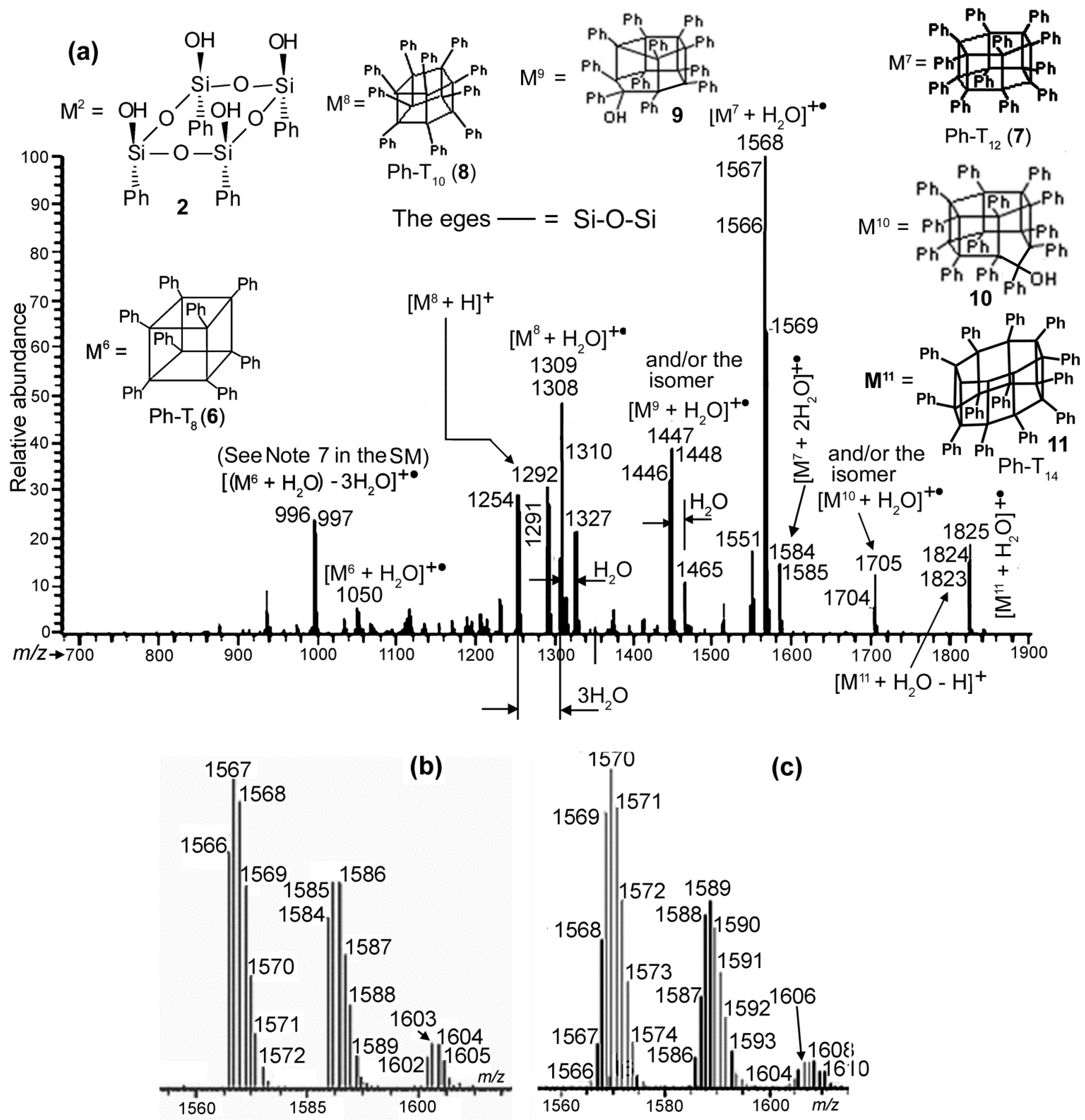 Molecules 26 04383 g007 Molecules 26 04383 g007