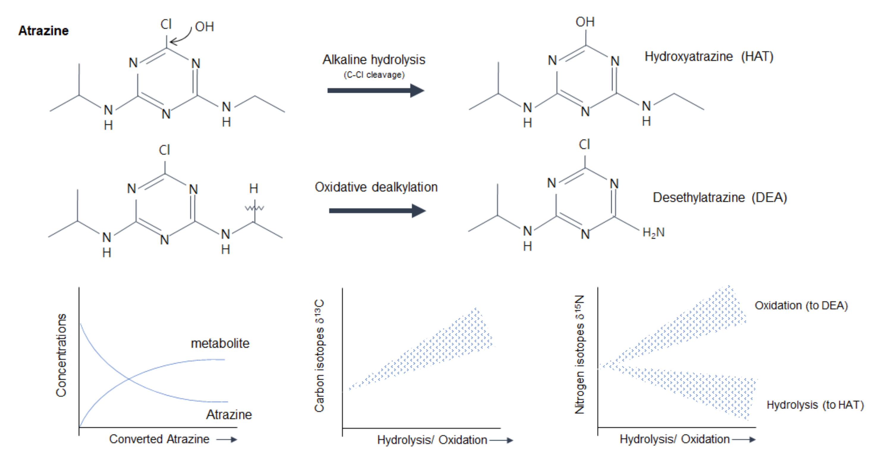 Molecules 26 04412 g002