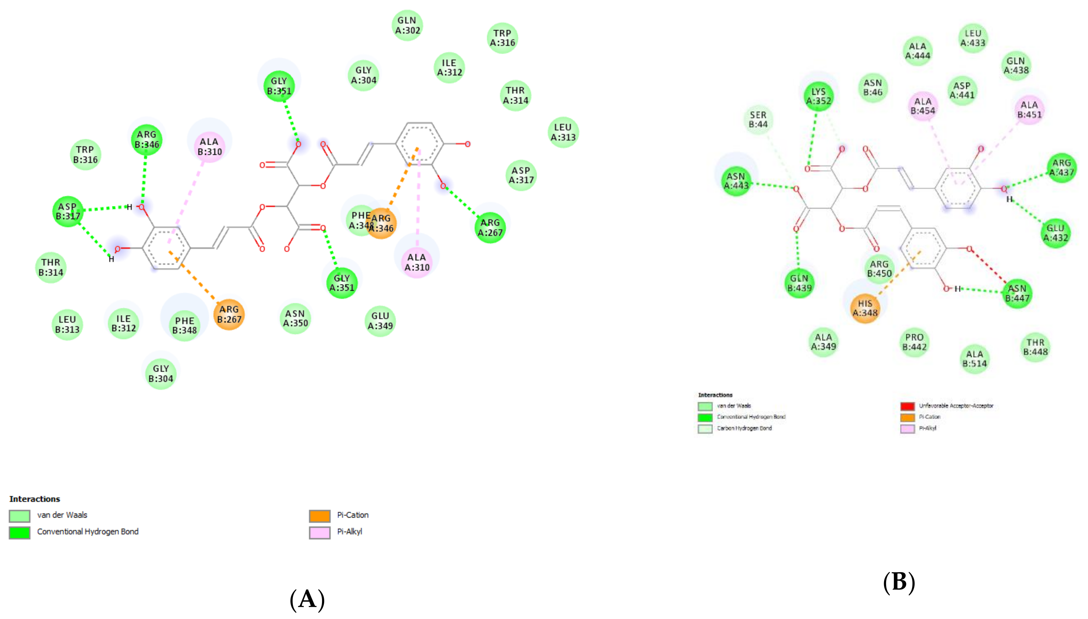 Molecules 26 04422 g003a