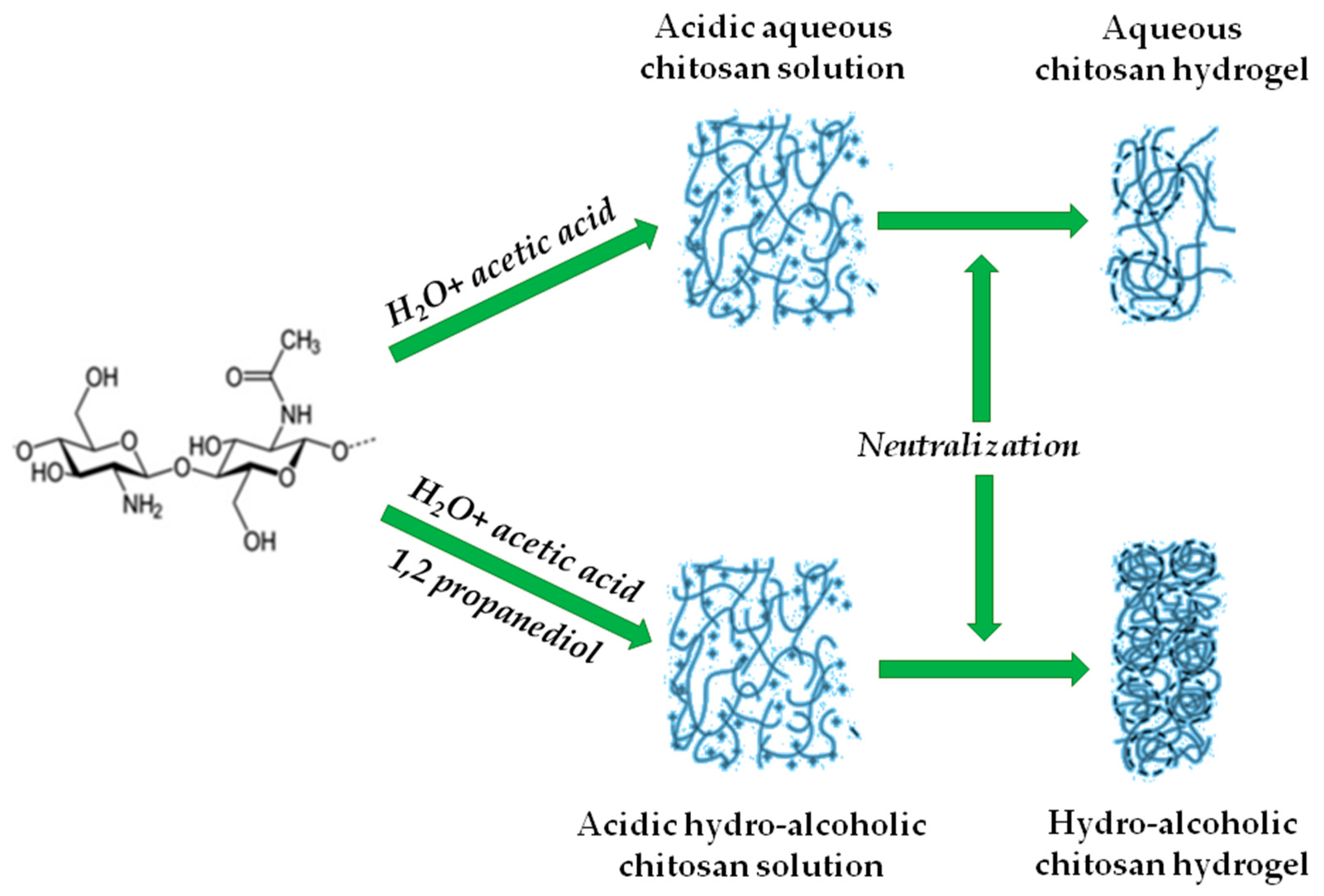 Molecules 26 04440 g001 Molecules 26 04440 g001