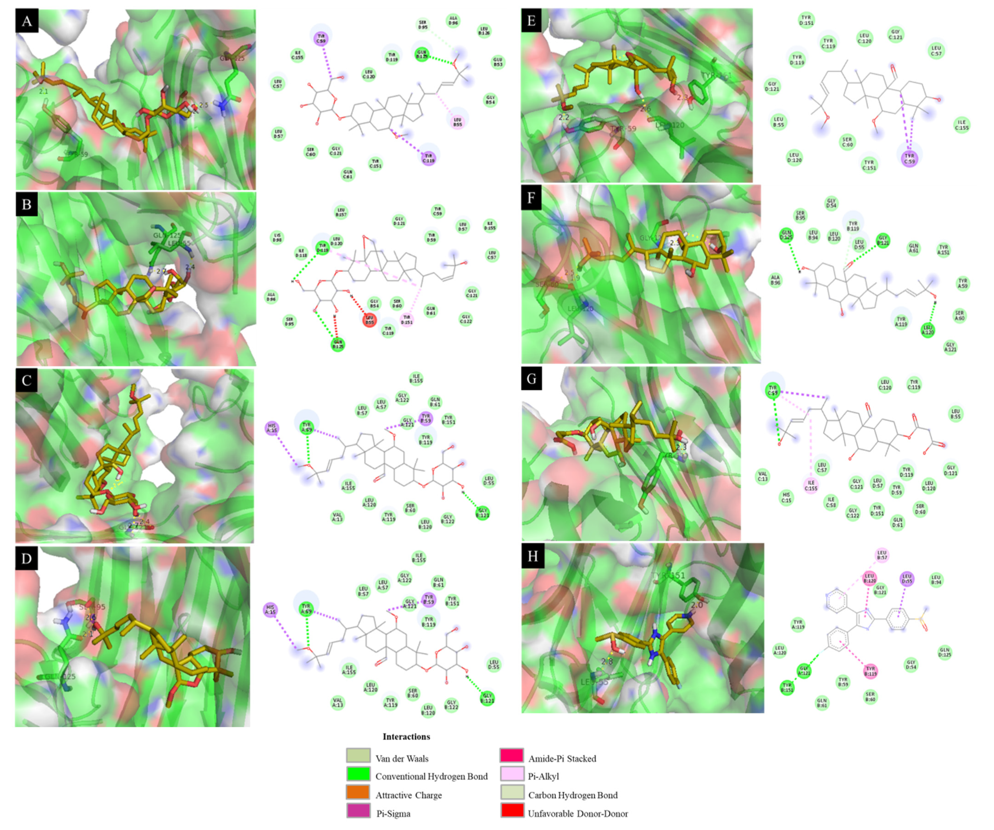 Molecules 26 04444 g005