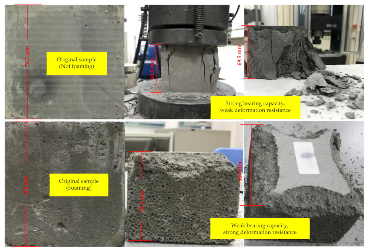 Molecules 26 04450 g005