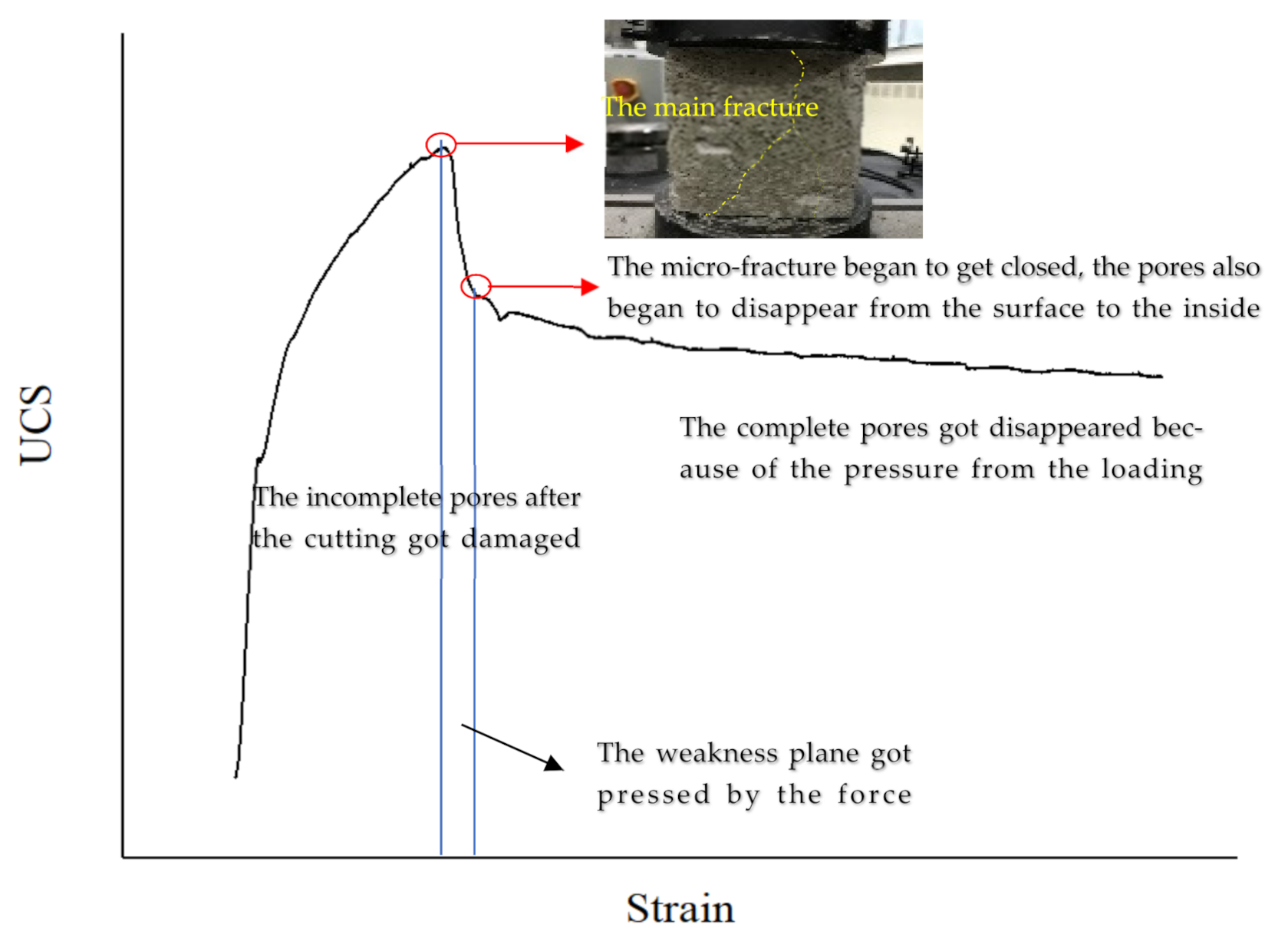 Molecules 26 04450 g007