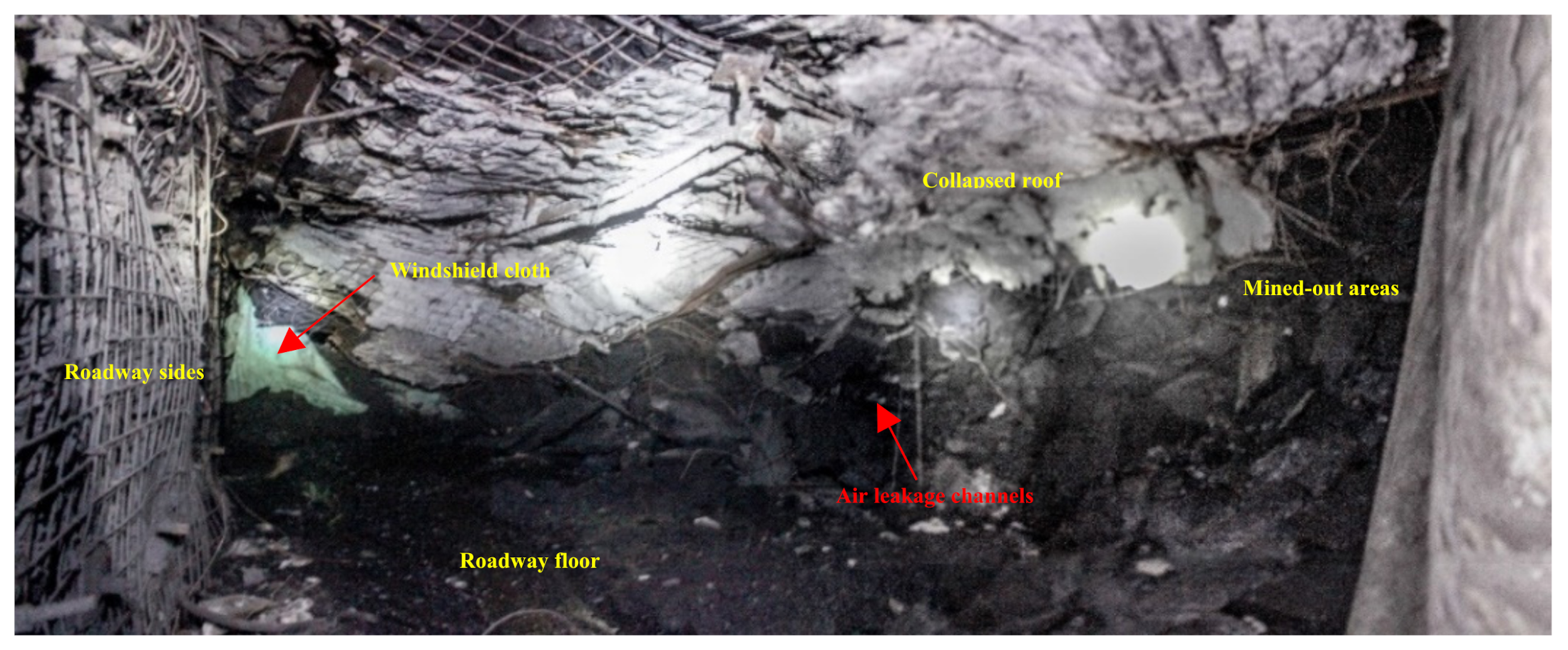 Molecules 26 04450 g010