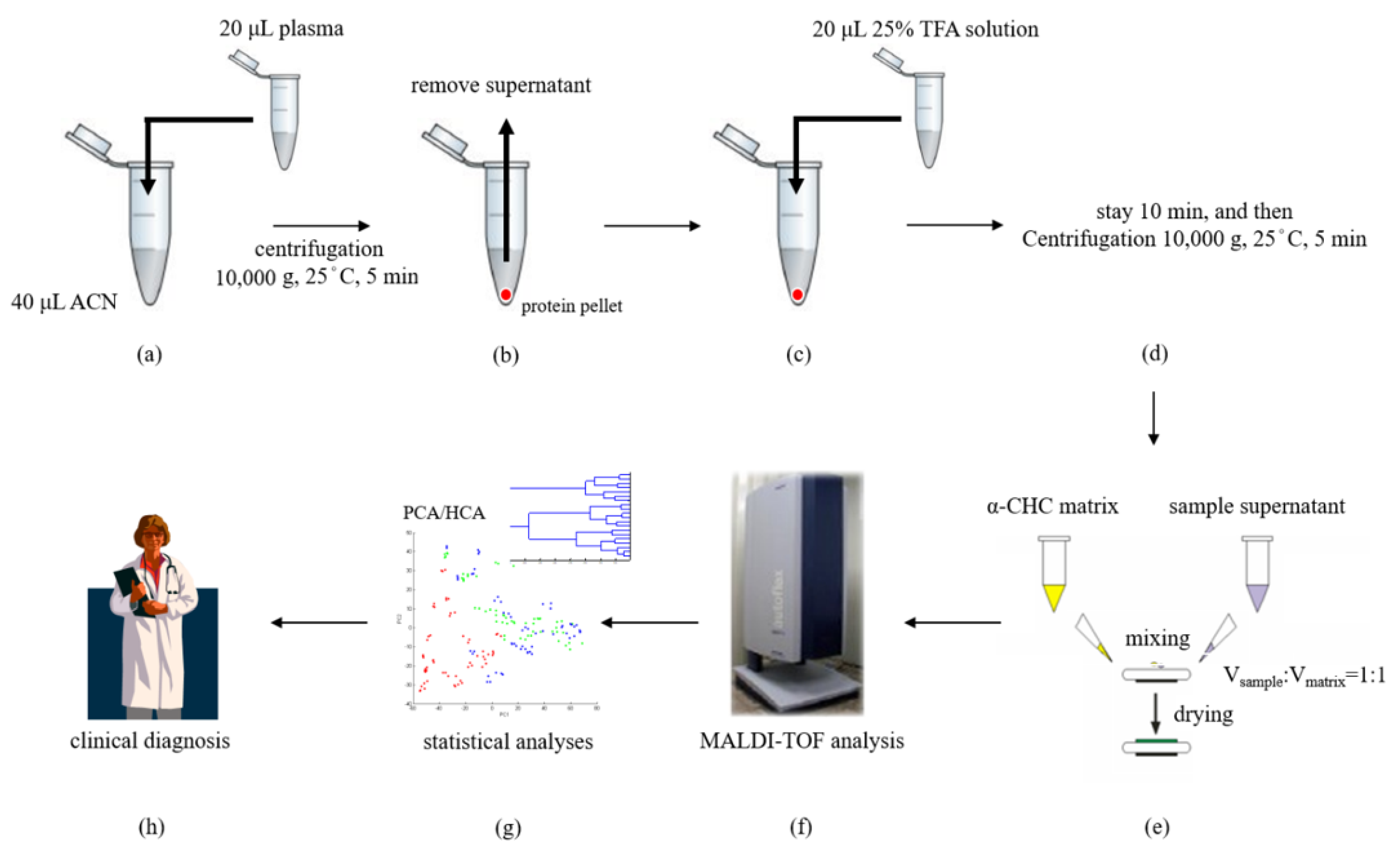 Molecules 26 04457 g009