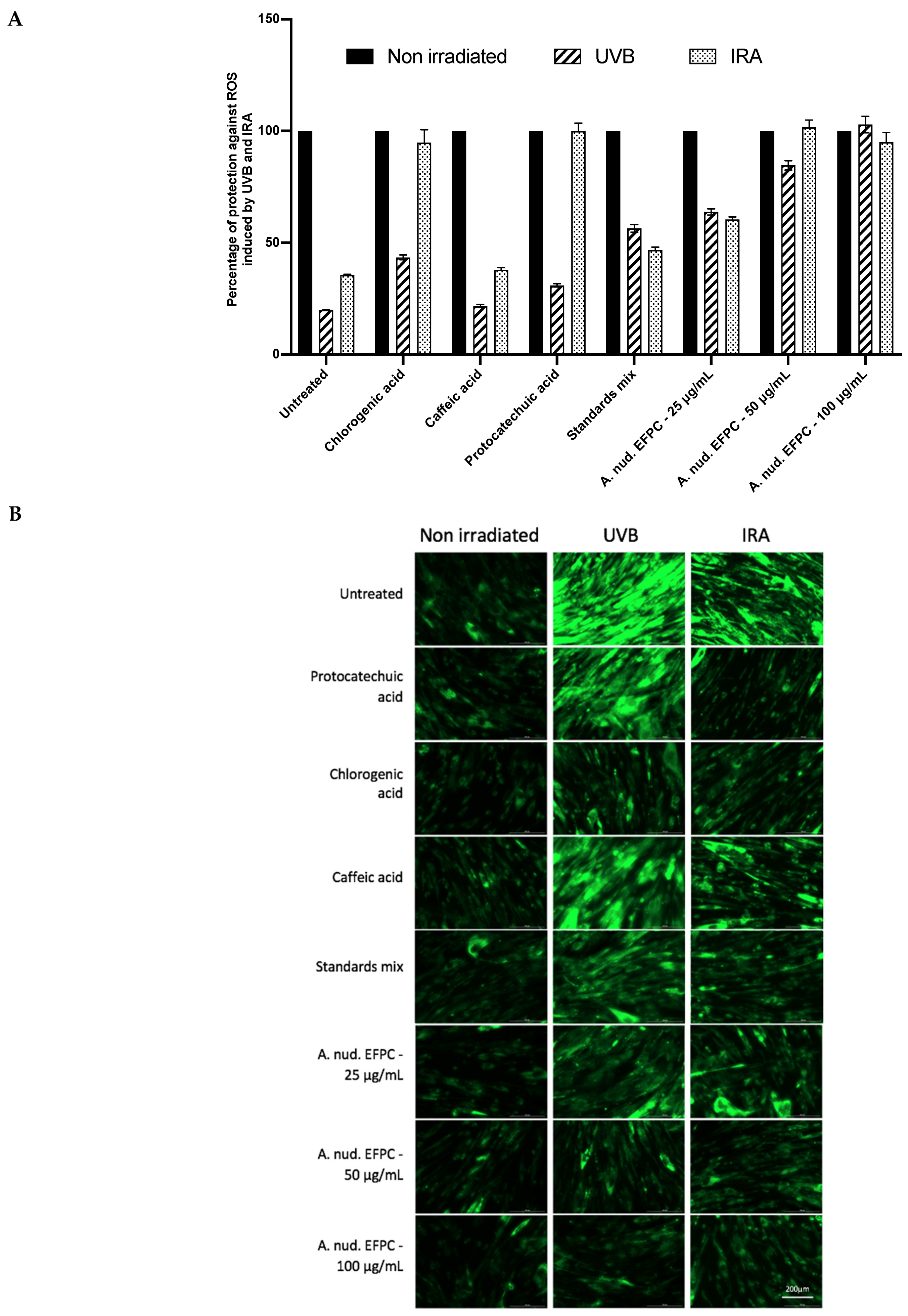 Molecules 26 04458 g003