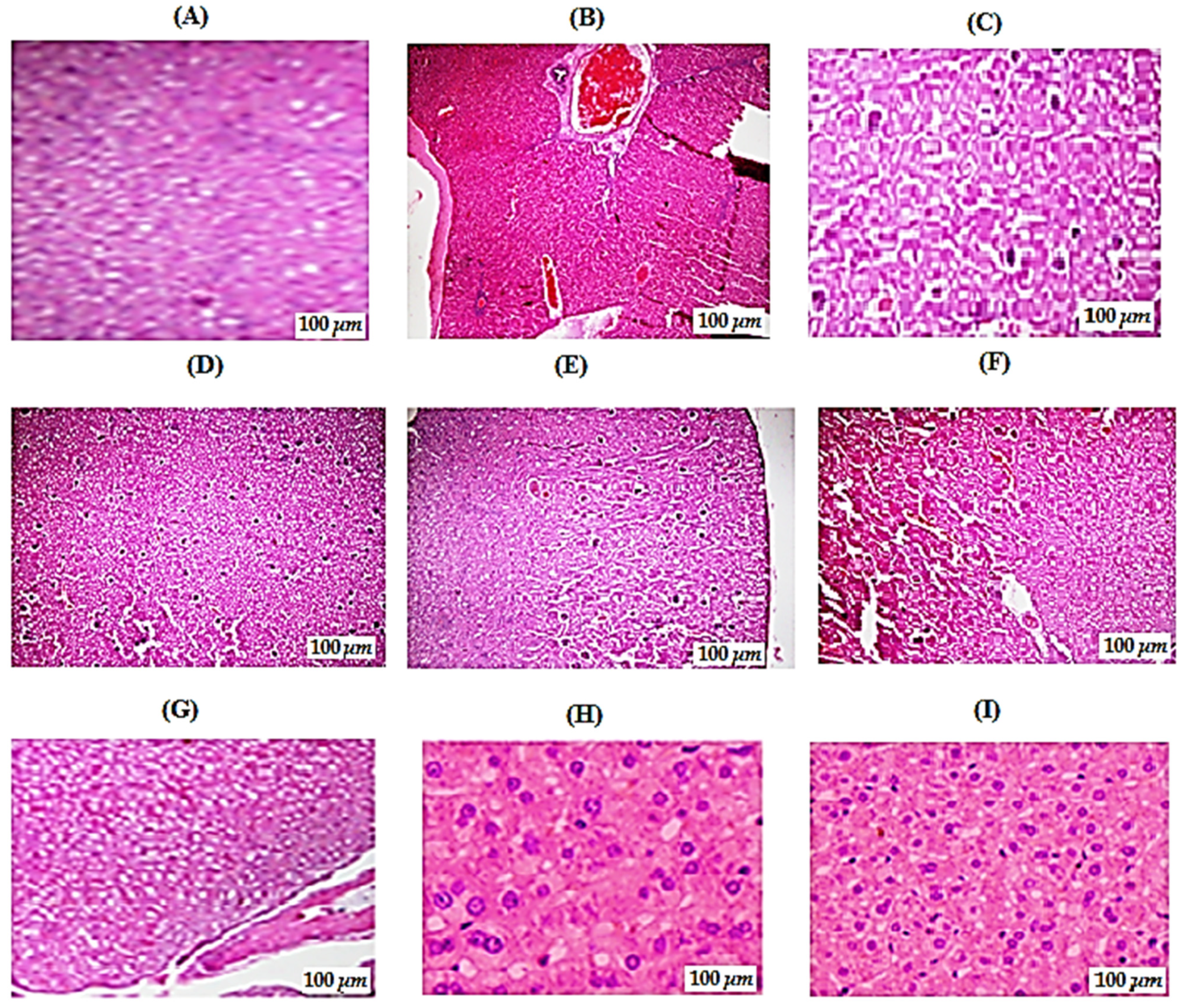 Molecules 26 04464 g006