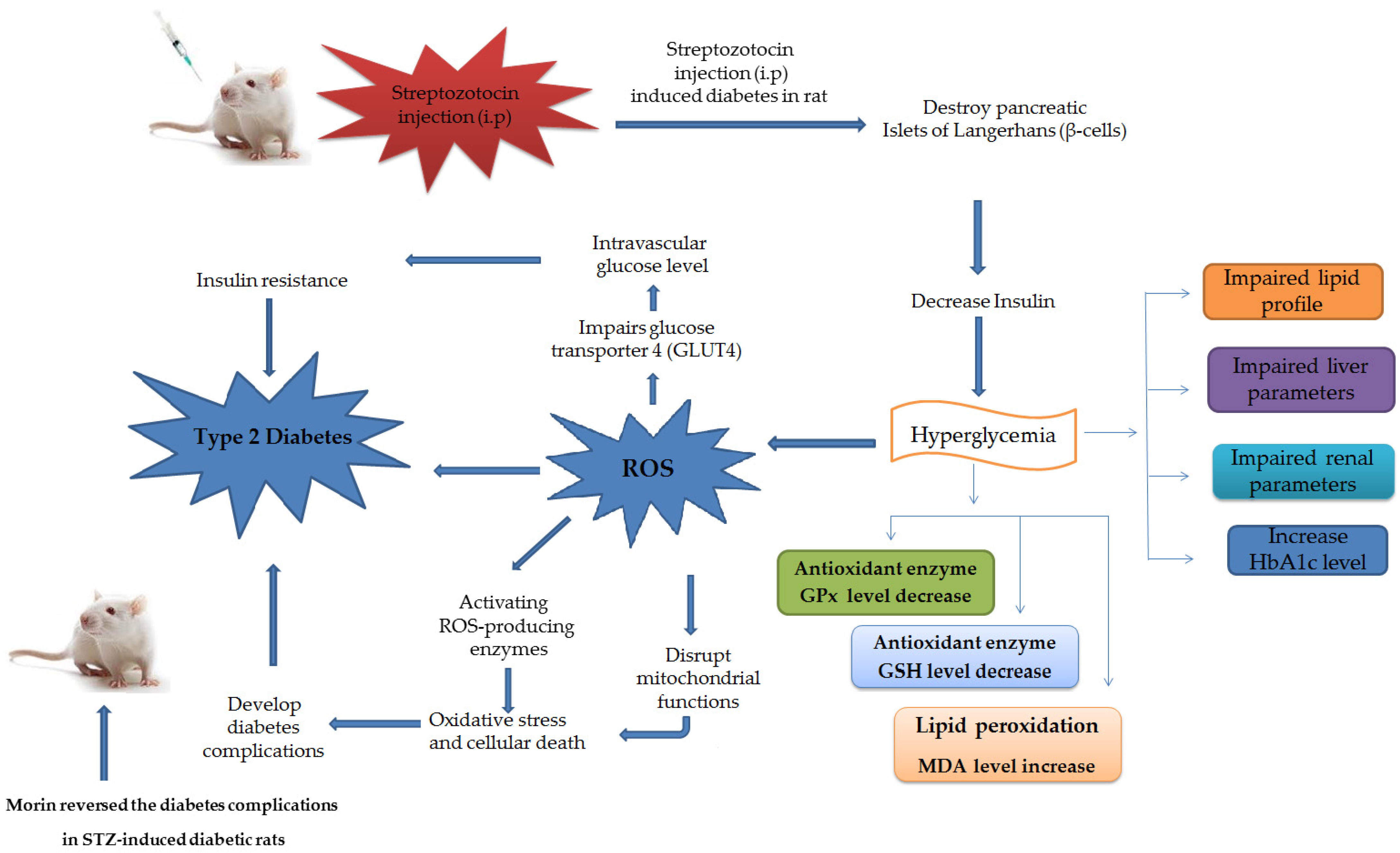 Molecules 26 04464 g007