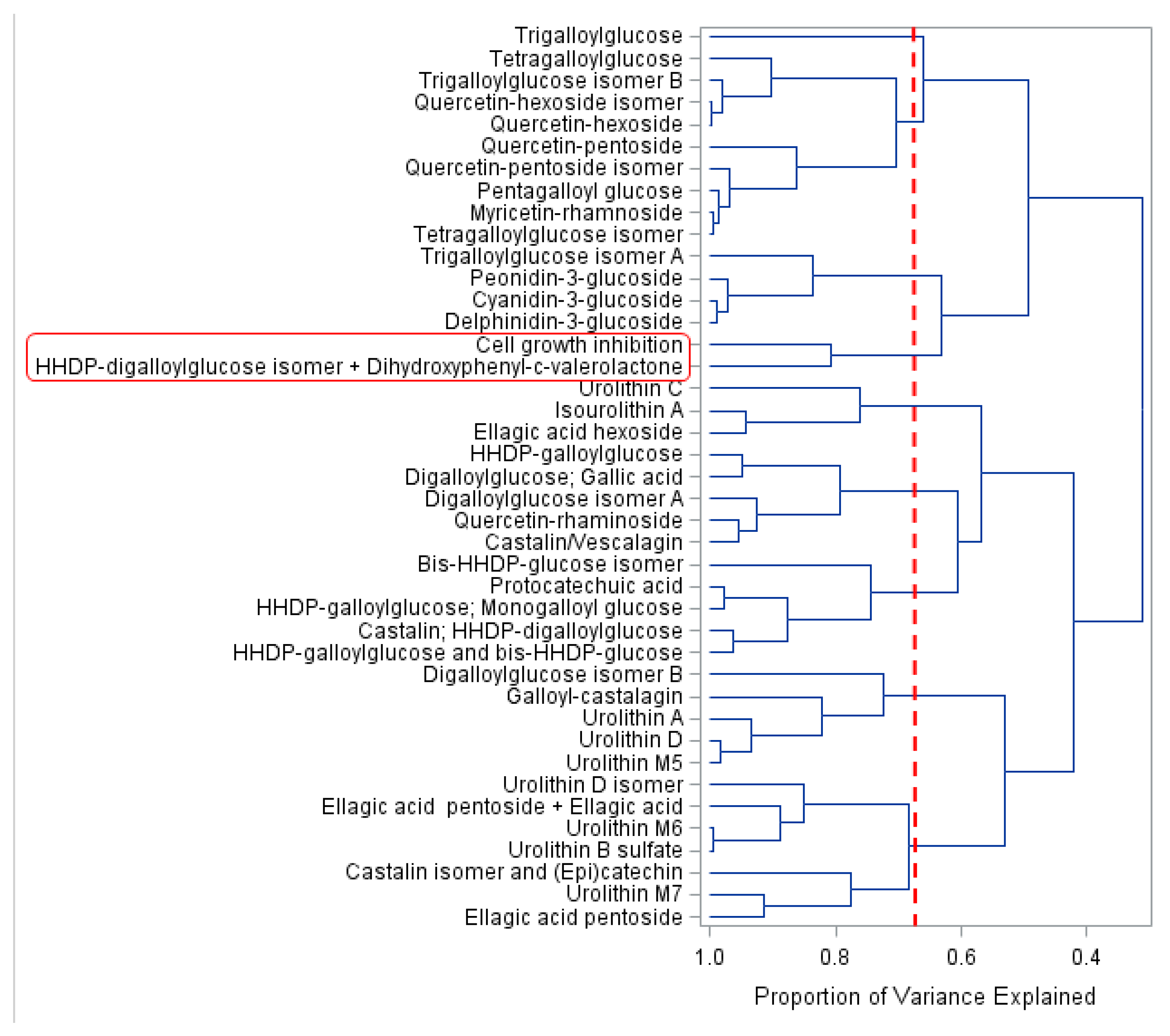 Molecules 26 04469 g004