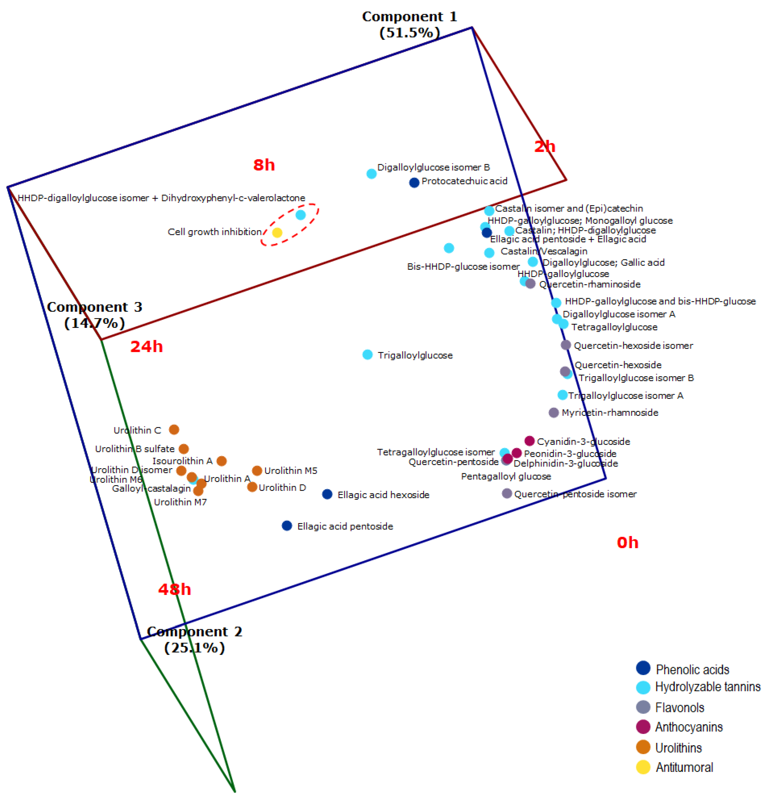 Molecules 26 04469 g005