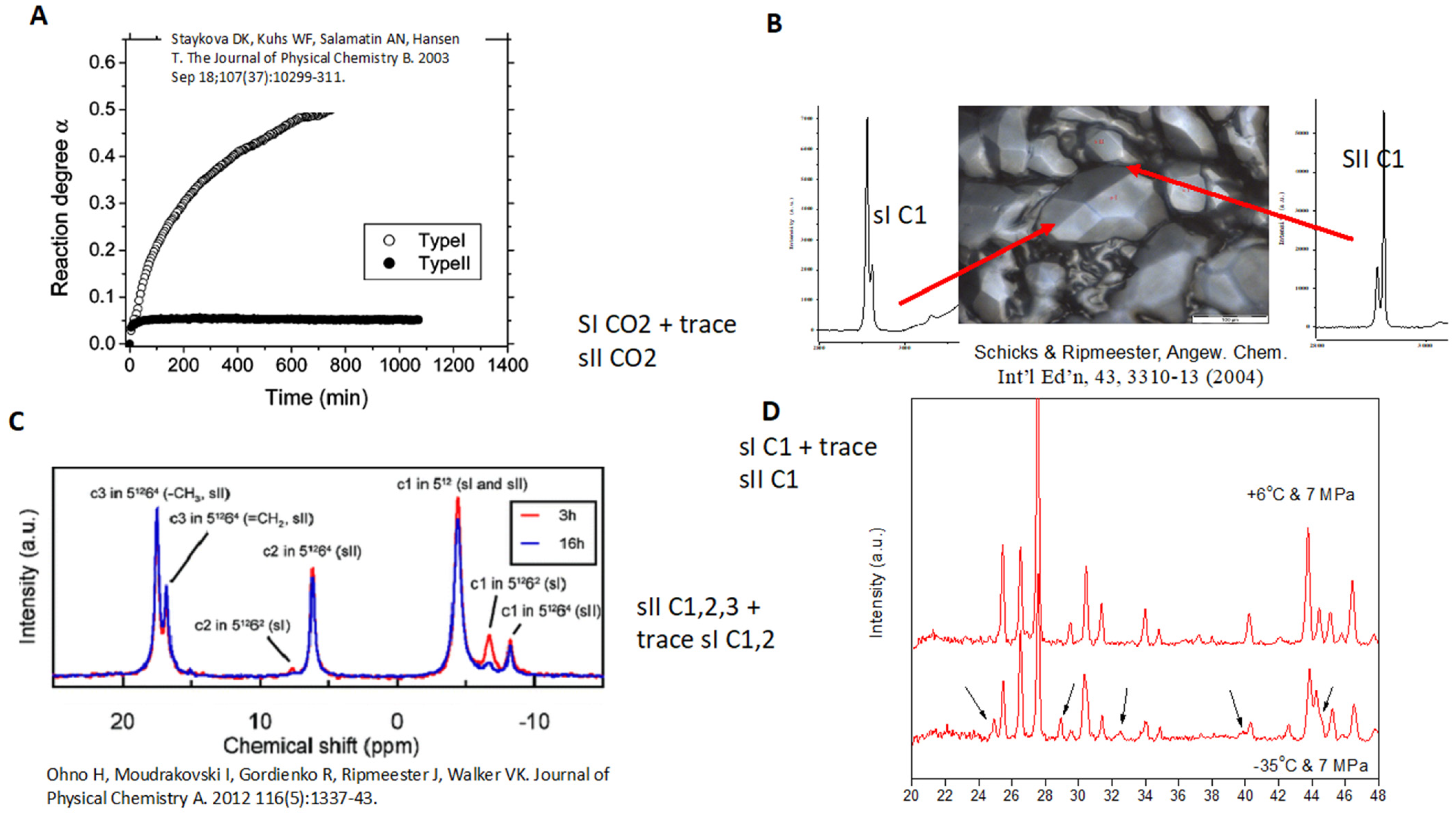 Molecules 26 04476 g002