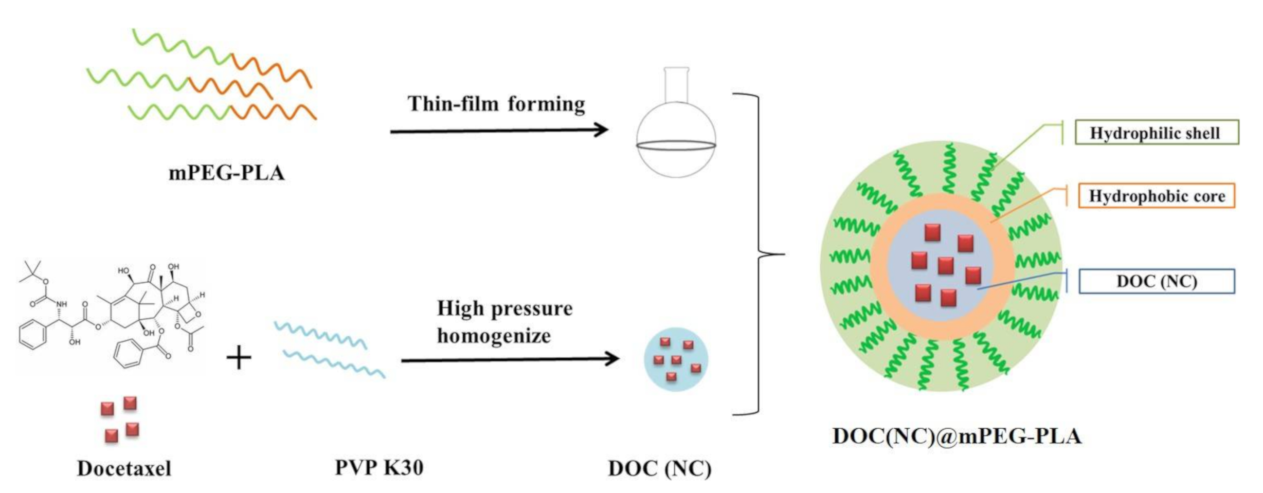 Molecules 26 04481 g001