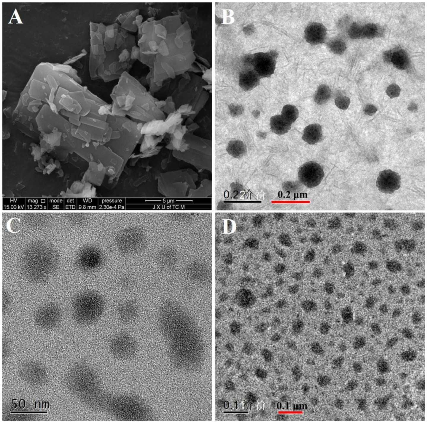 Molecules 26 04481 g003