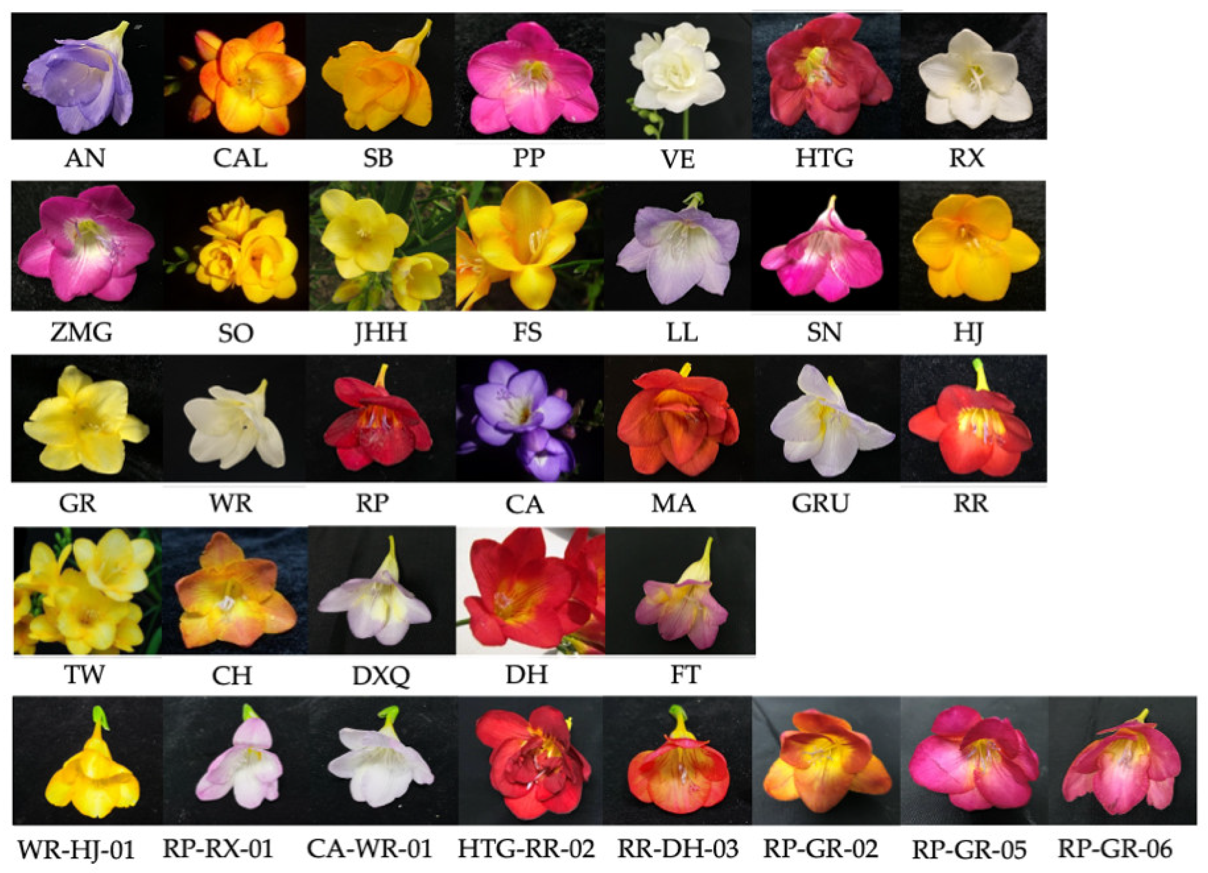 Molecules 26 04482 g007