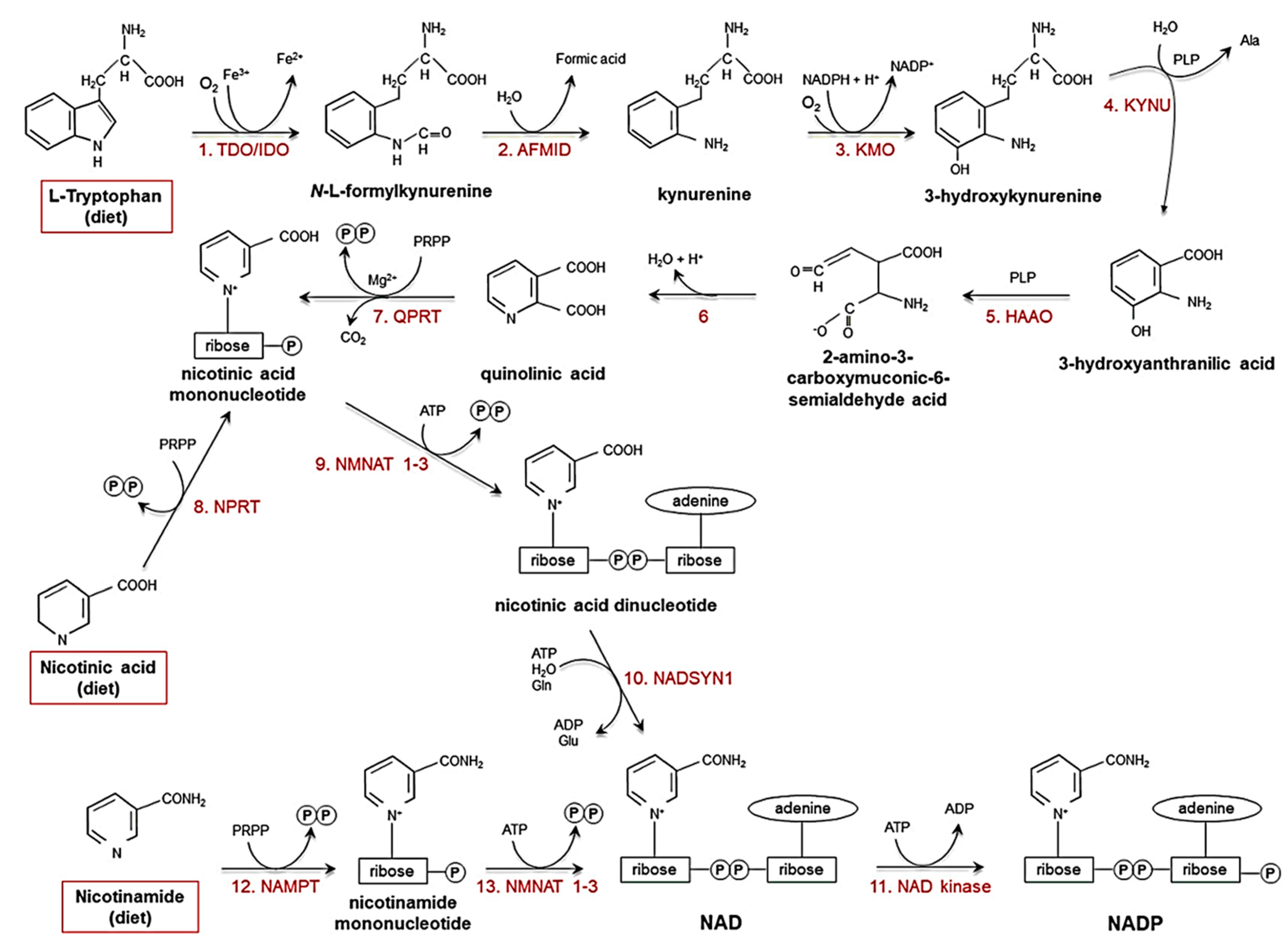 Molecules 26 04487 g001