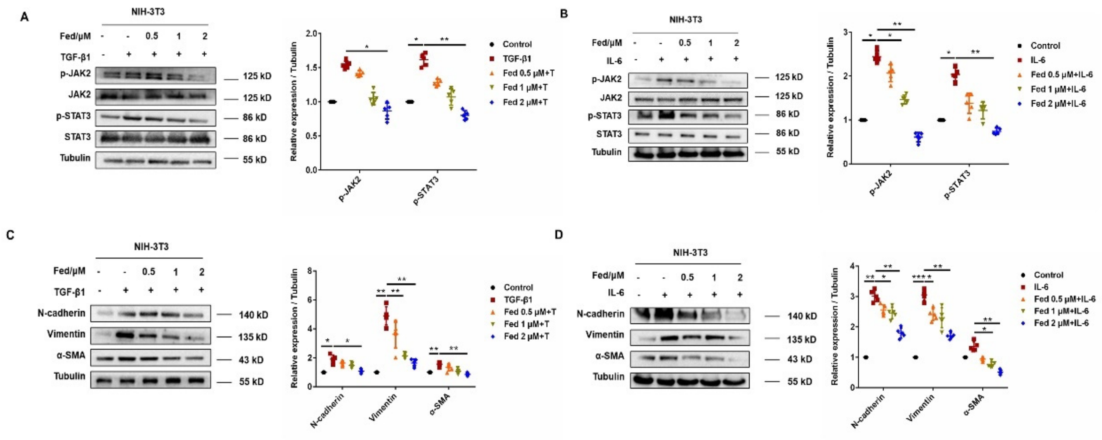 Molecules 26 04491 g002