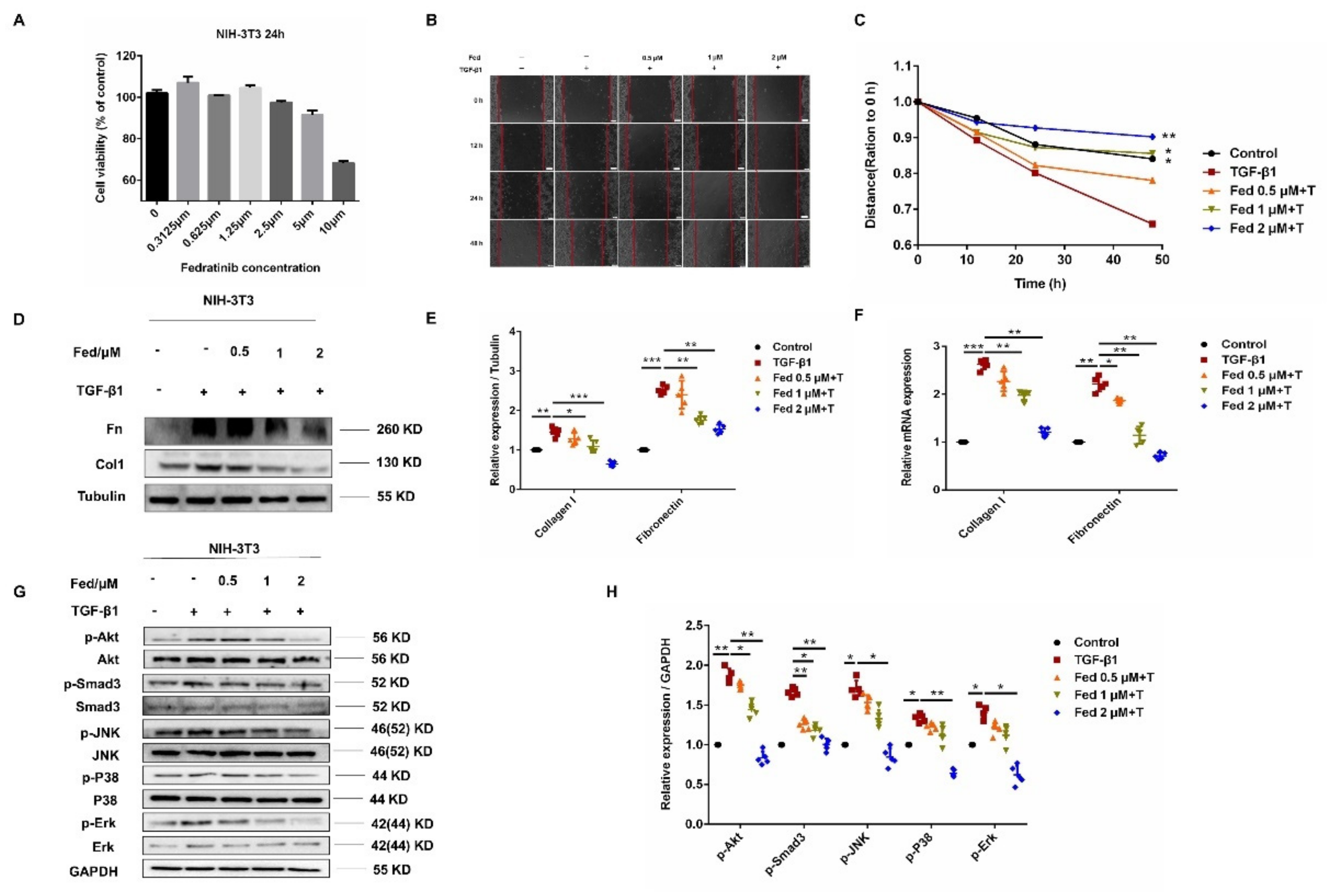 Molecules 26 04491 g004
